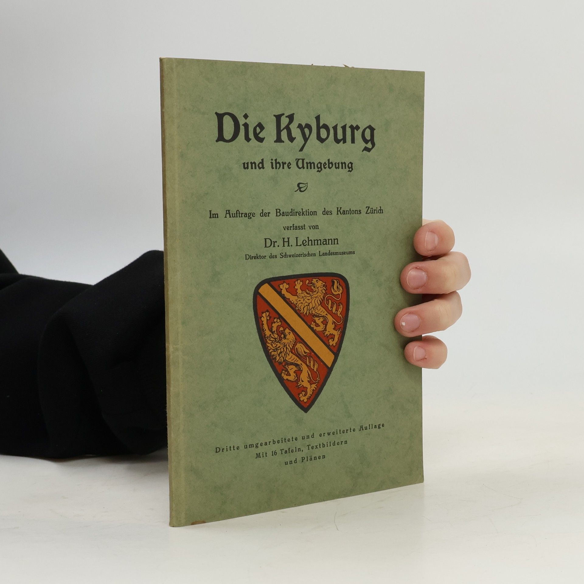 Die Kyburg