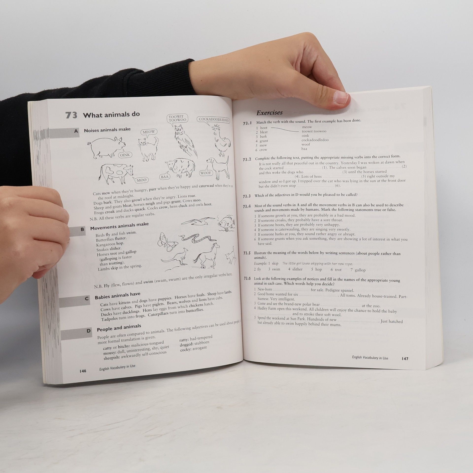 Michael McCarthy English Vocabulary in Use. Upper-Intermediate & Advanced