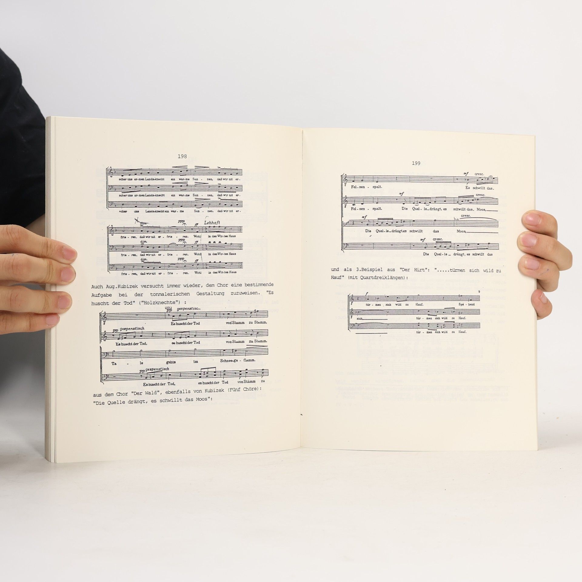 Alois Apfelauer Der Männerchor in Österreich