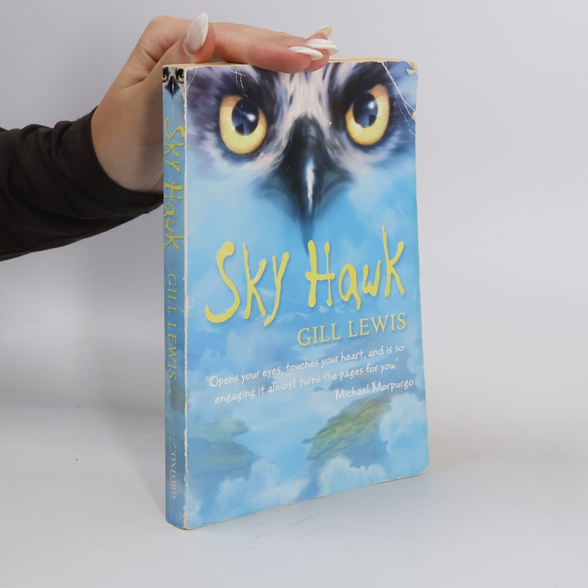 Gill Lewis Sky Hawk