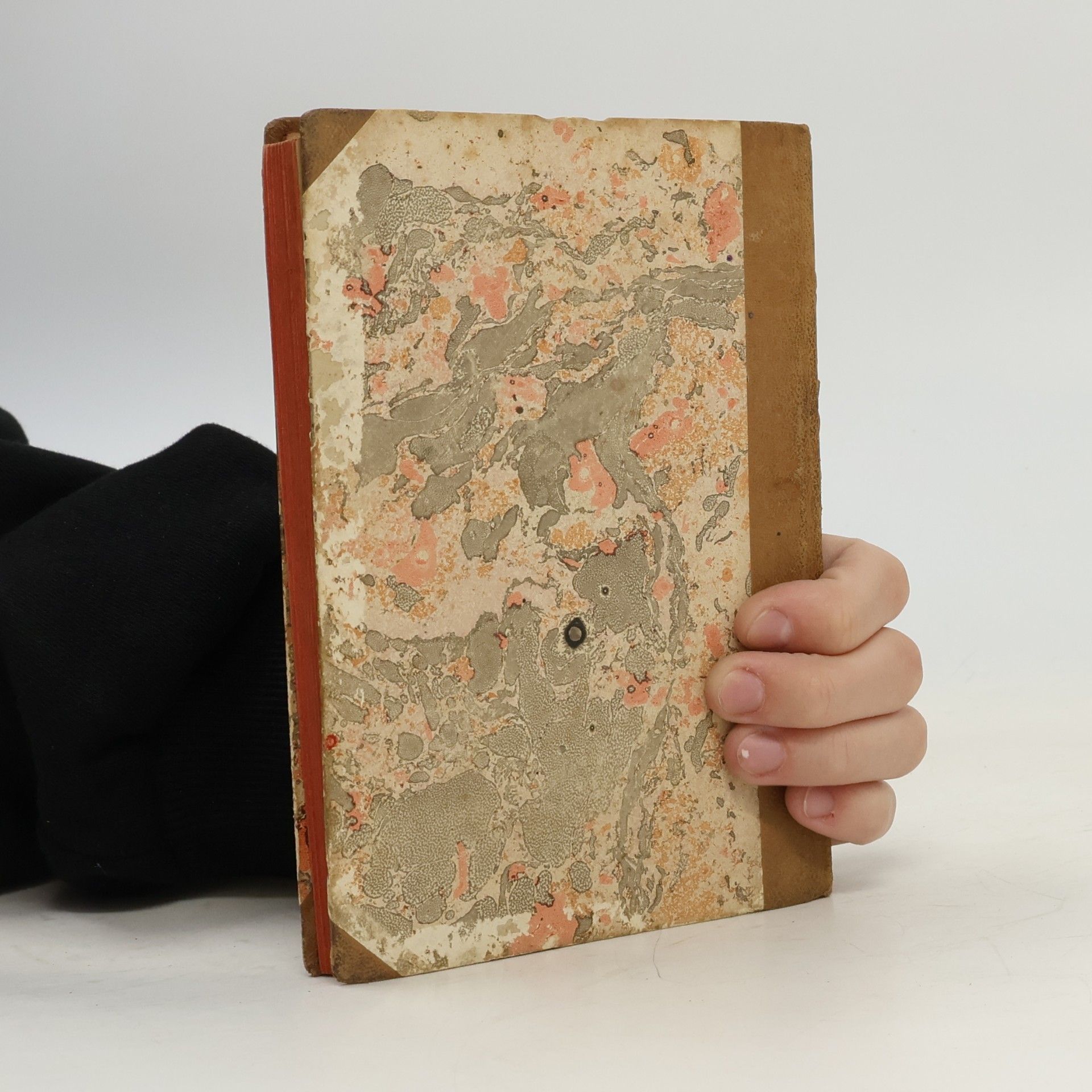 I. P. Jacobsen Sechs Novellen