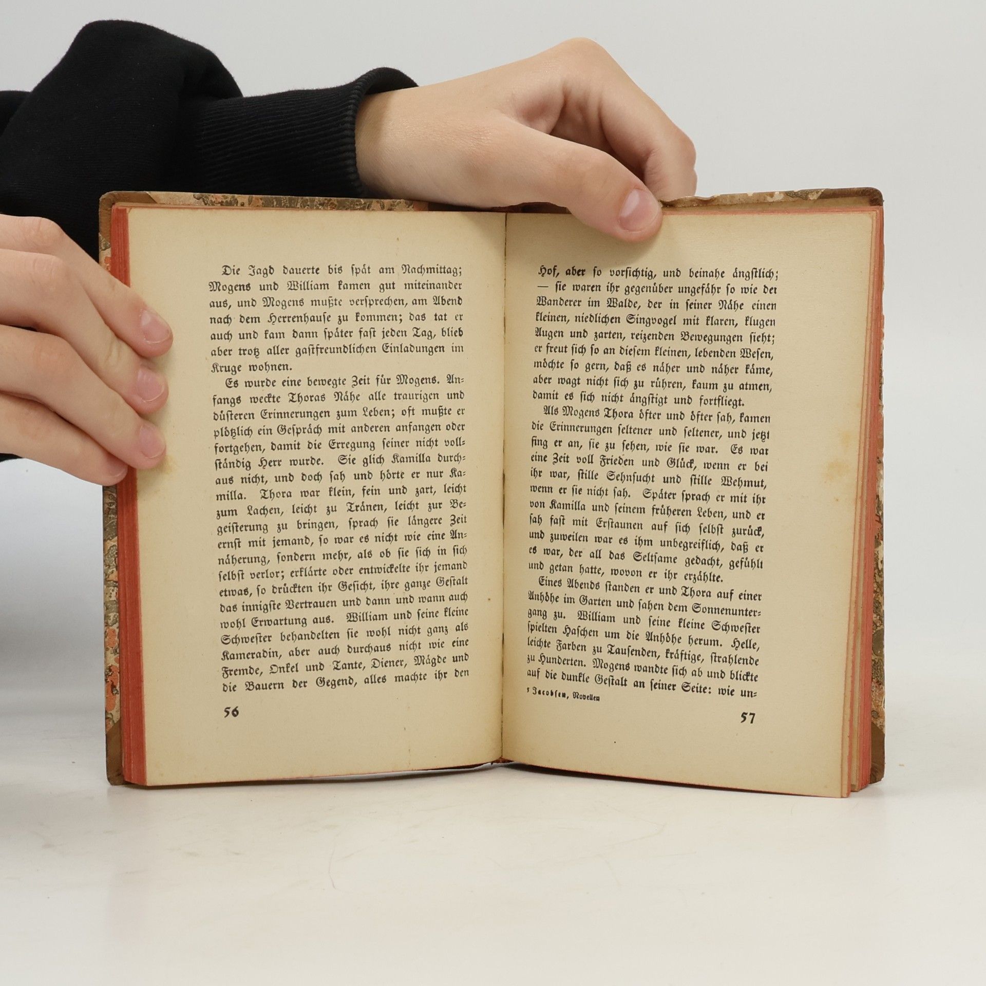 I. P. Jacobsen Sechs Novellen