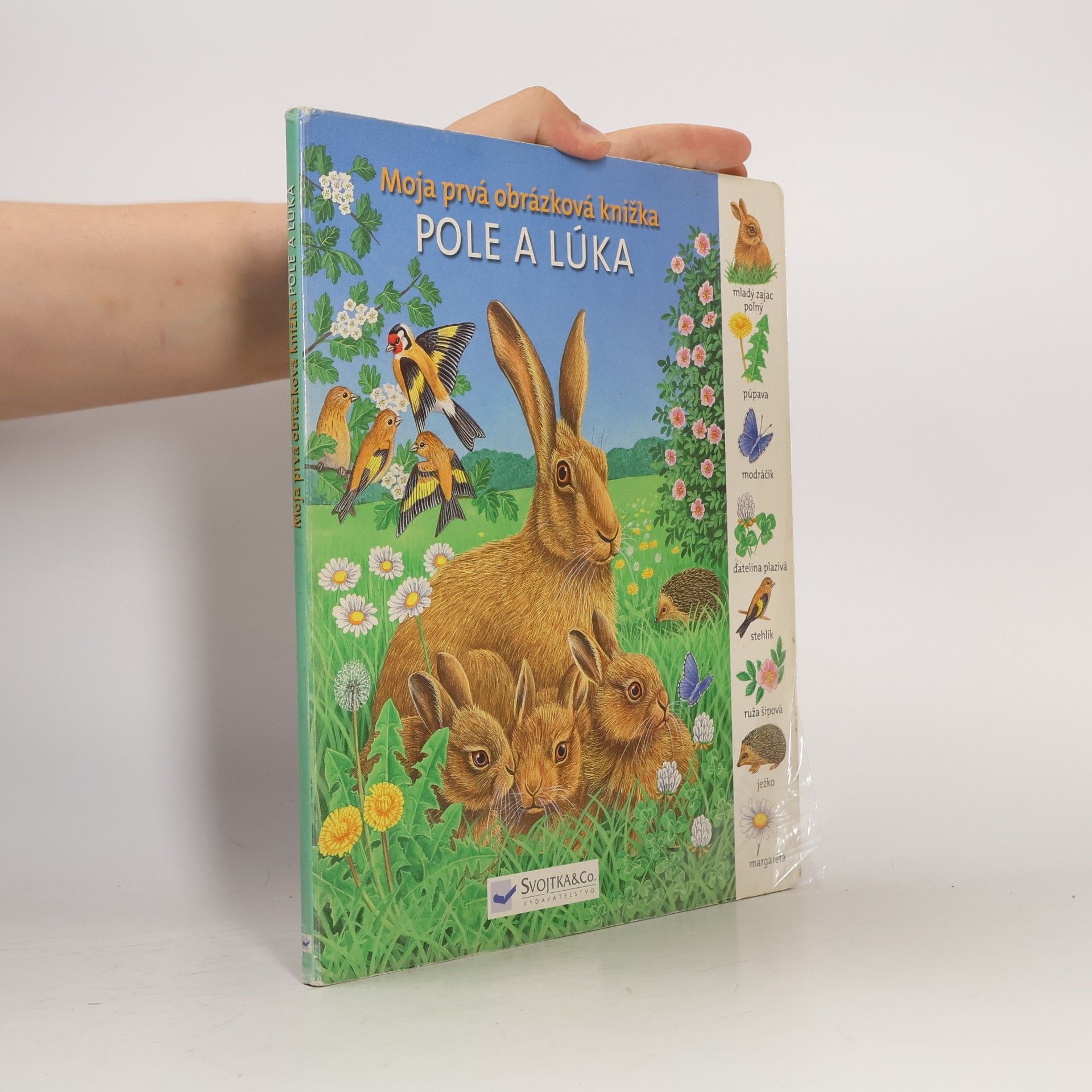 Autorenkollektiv Moja prvá obrázková knižka - Pole a lúka