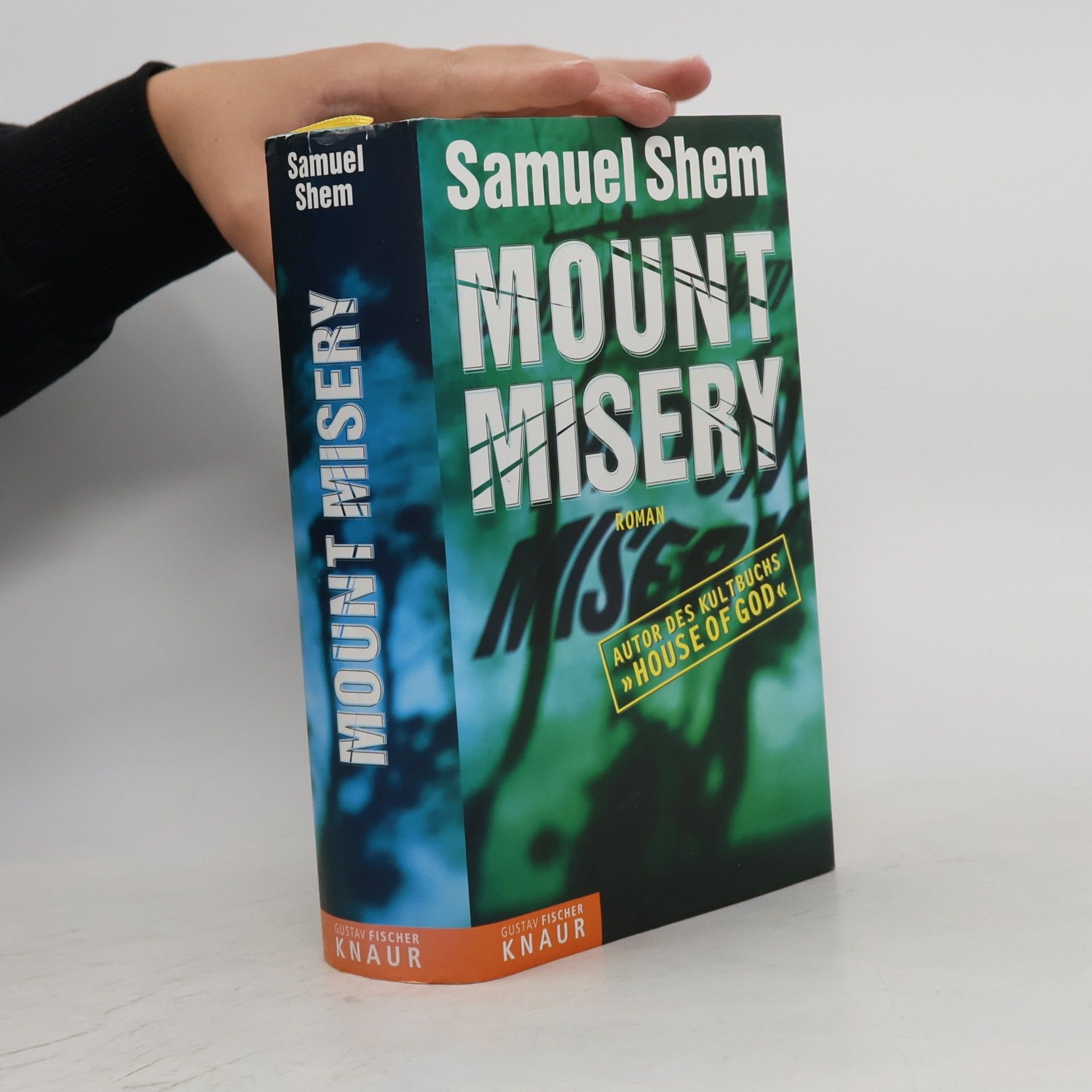 Samuel Shem Mount Misery