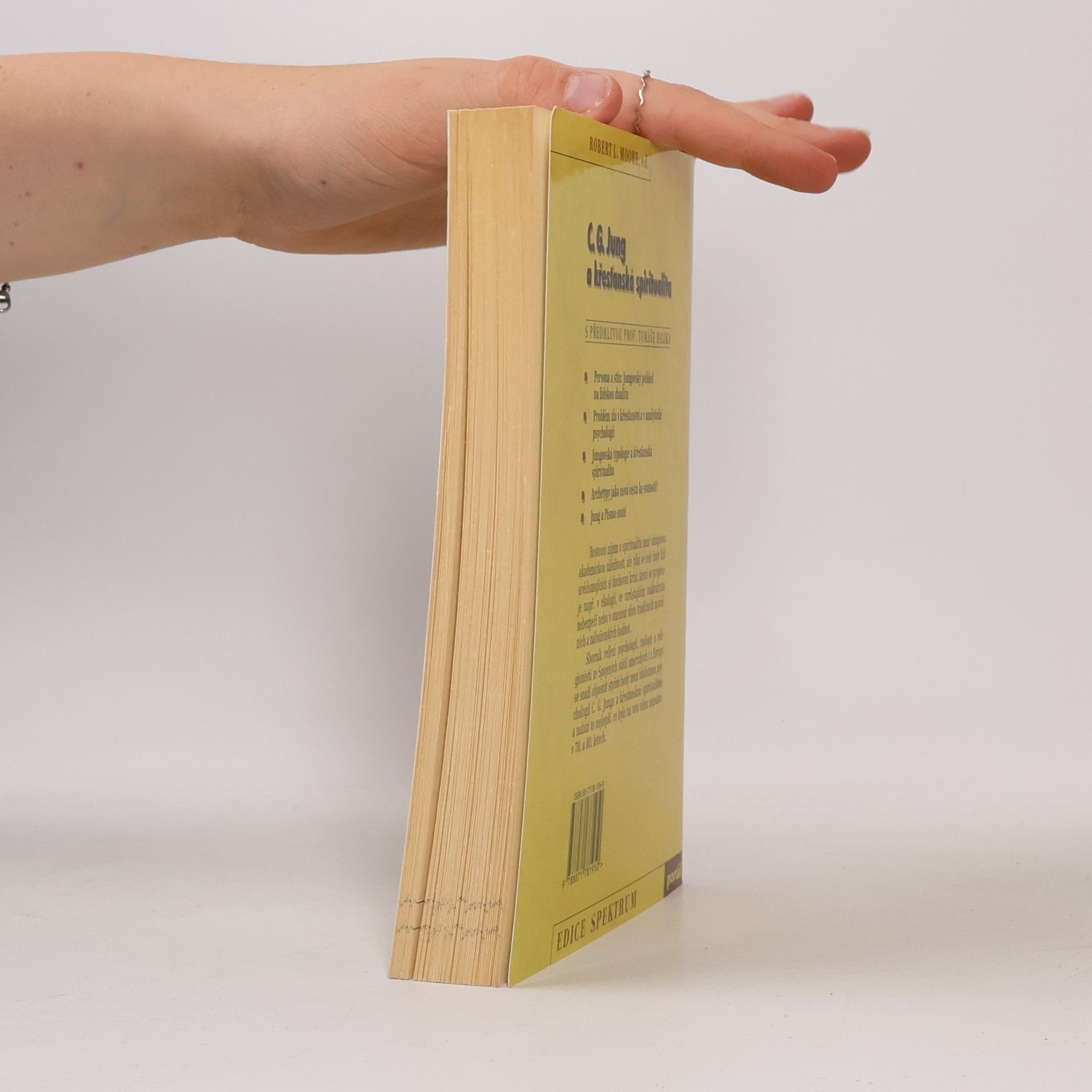 Robert L. Moore C. G. Jung a křesťanská spiritualita