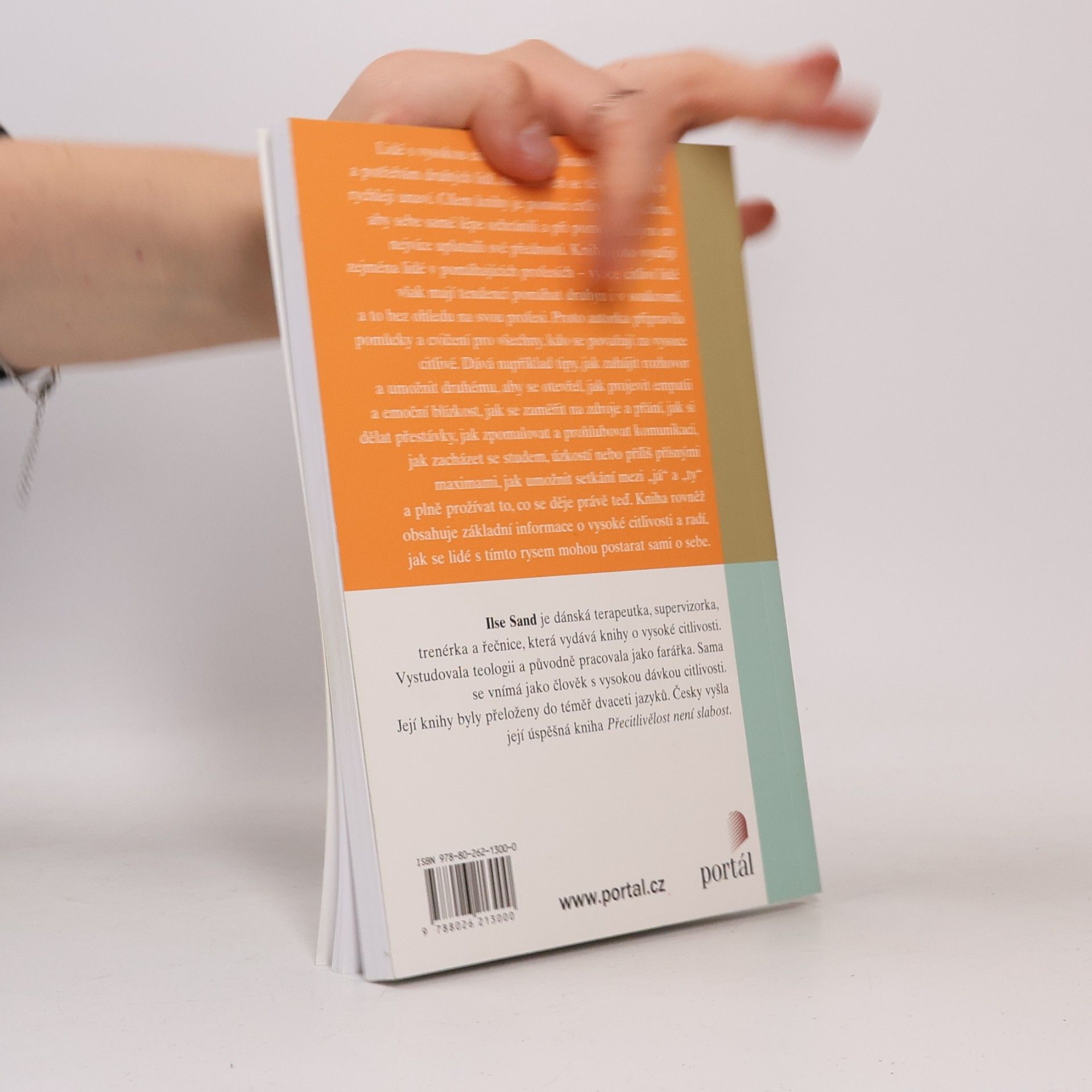 Ilse Sand Citlivý pomocník : vysoká citlivost v pomáhajících profesích