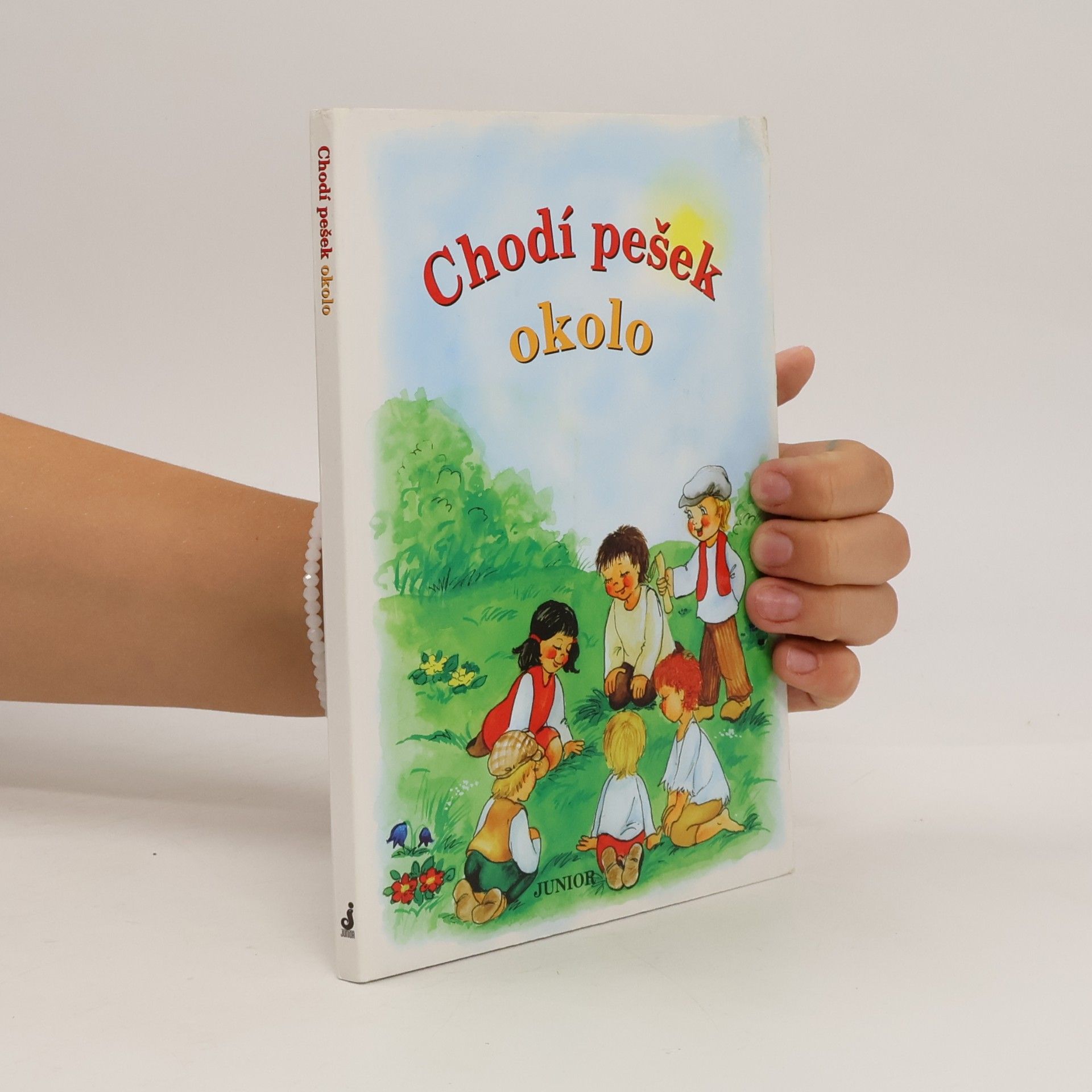 Vladimíra Vopičková Chodí pešek okolo (leporelo)
