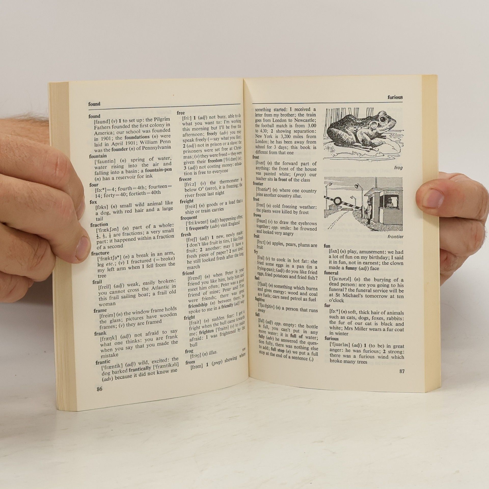 Friedrich Pollmann New Basic Dictionary