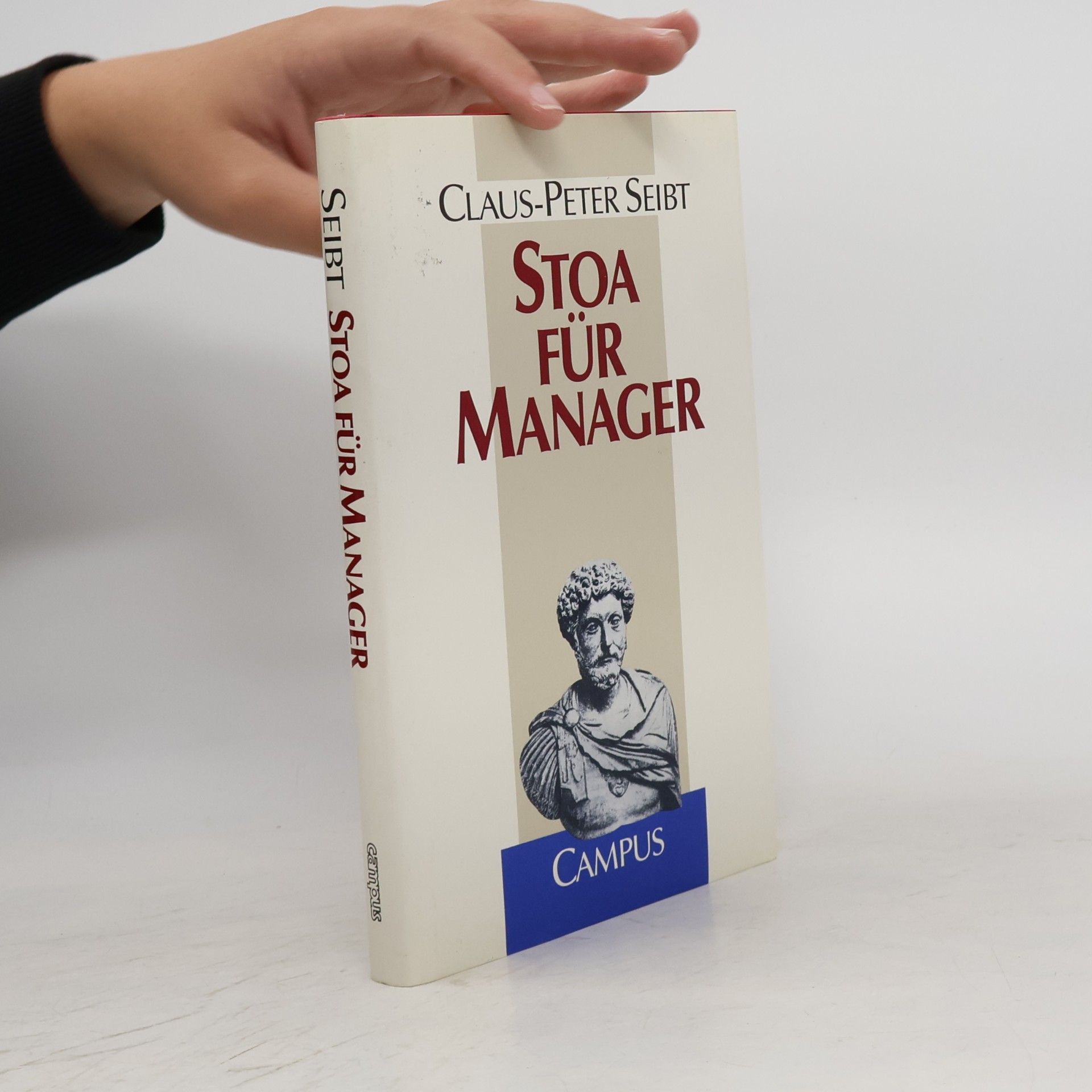 Claus Peter Seibt Stoa für Manager