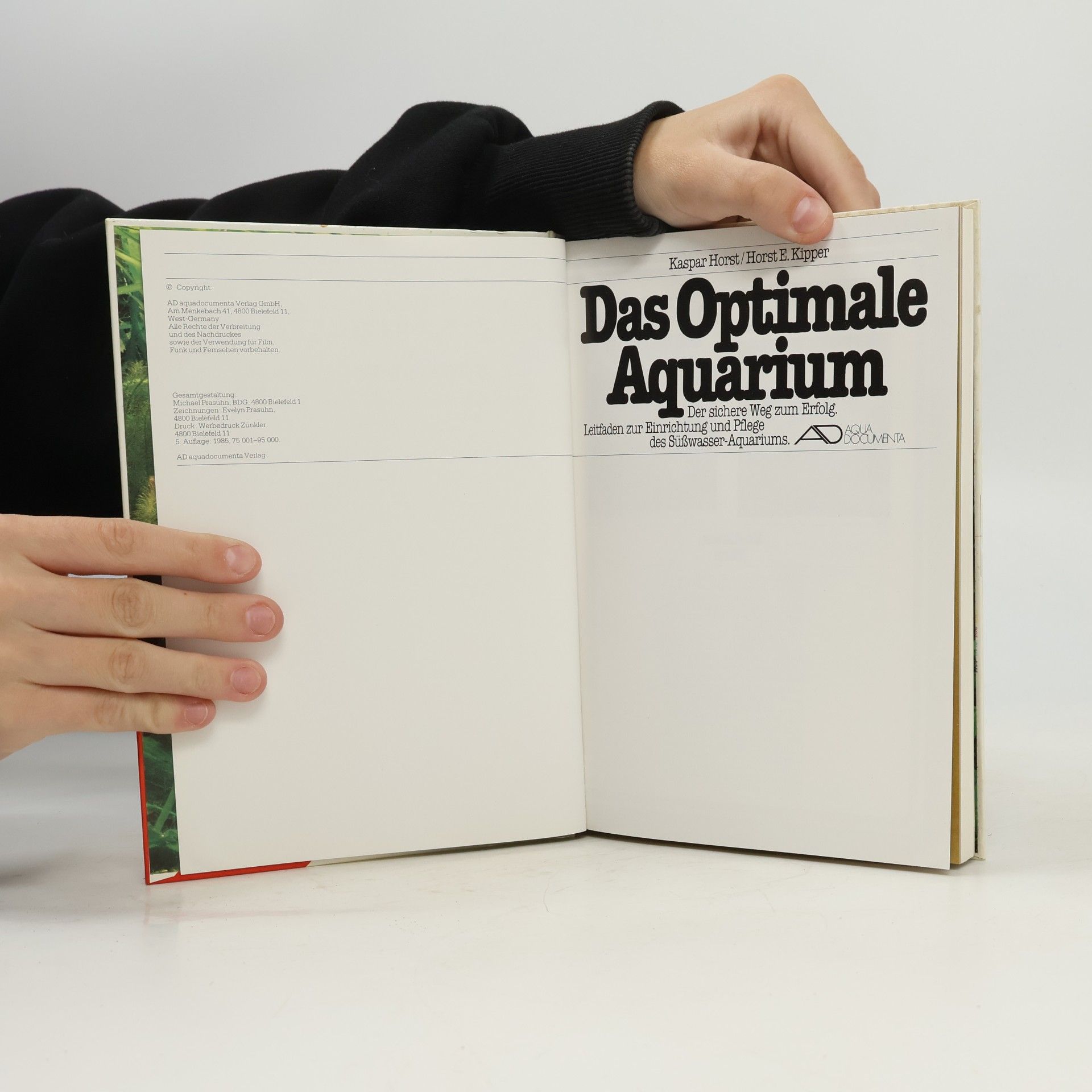 Kaspar Horst Das optimale Aquarium