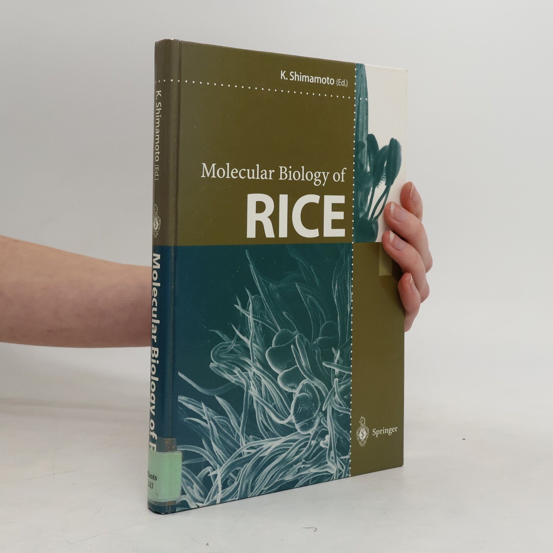 Ko Shimamoto Molecular Biology of Rice