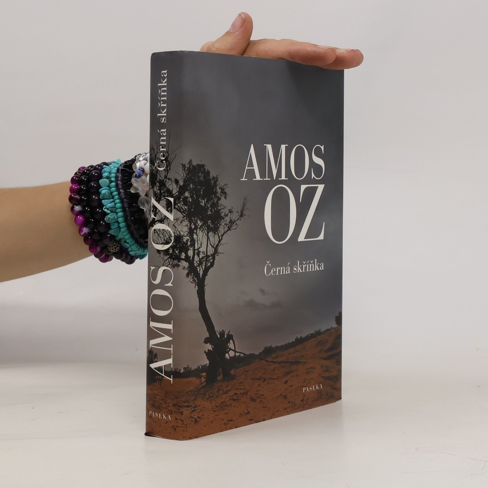 Amos Oz Černá skříňka