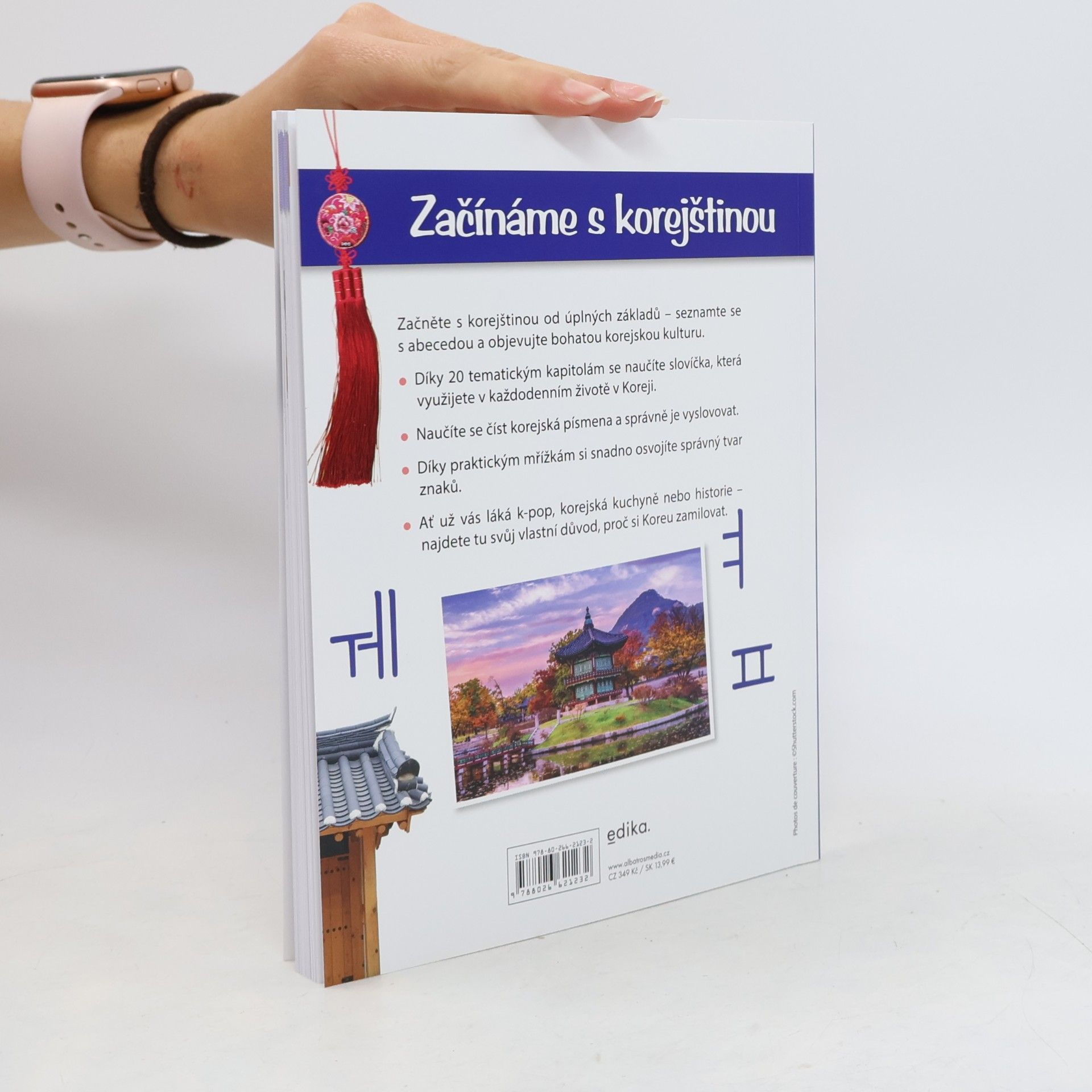 Alena Polická Začínáme s korejštinou