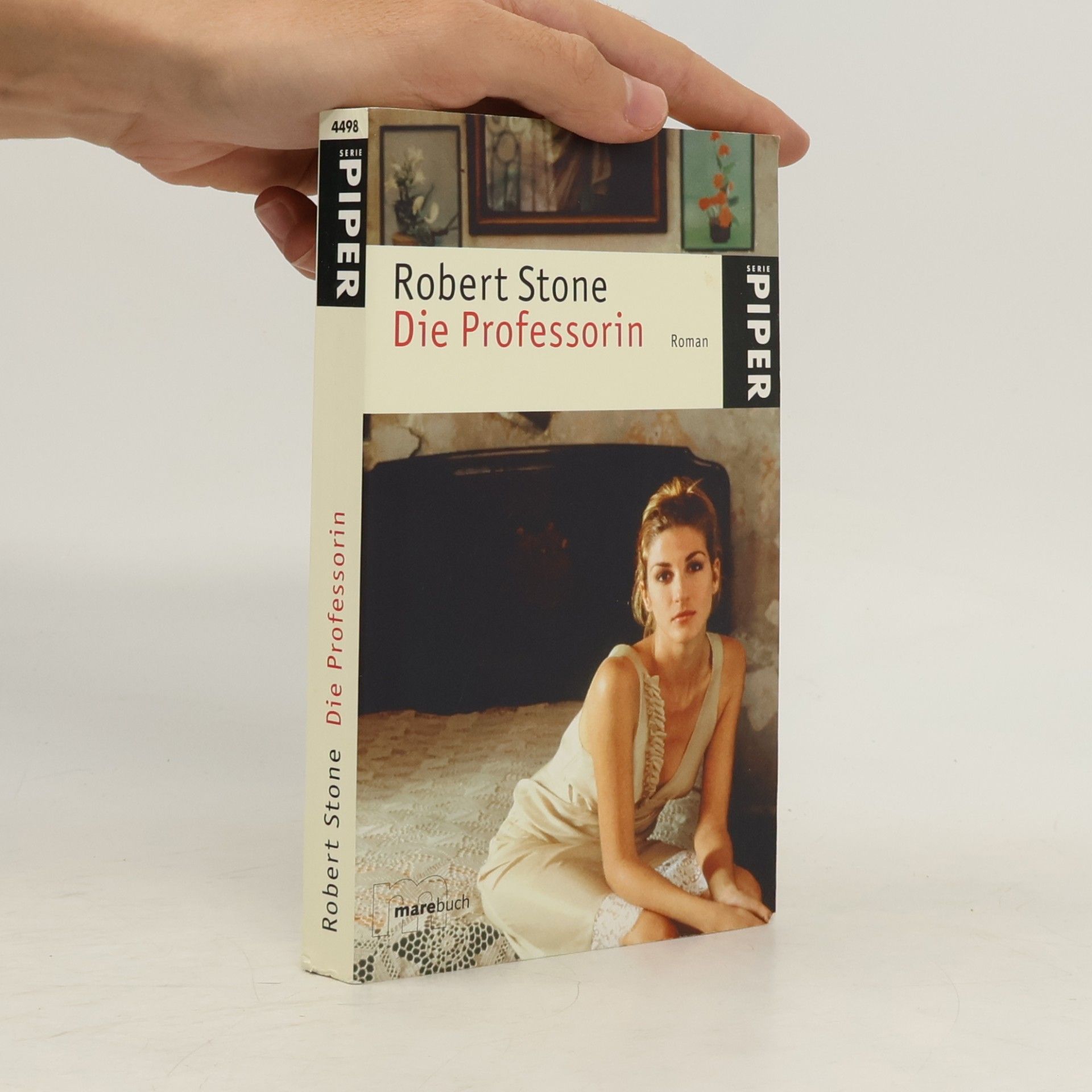 Robert Stone Die Professorin