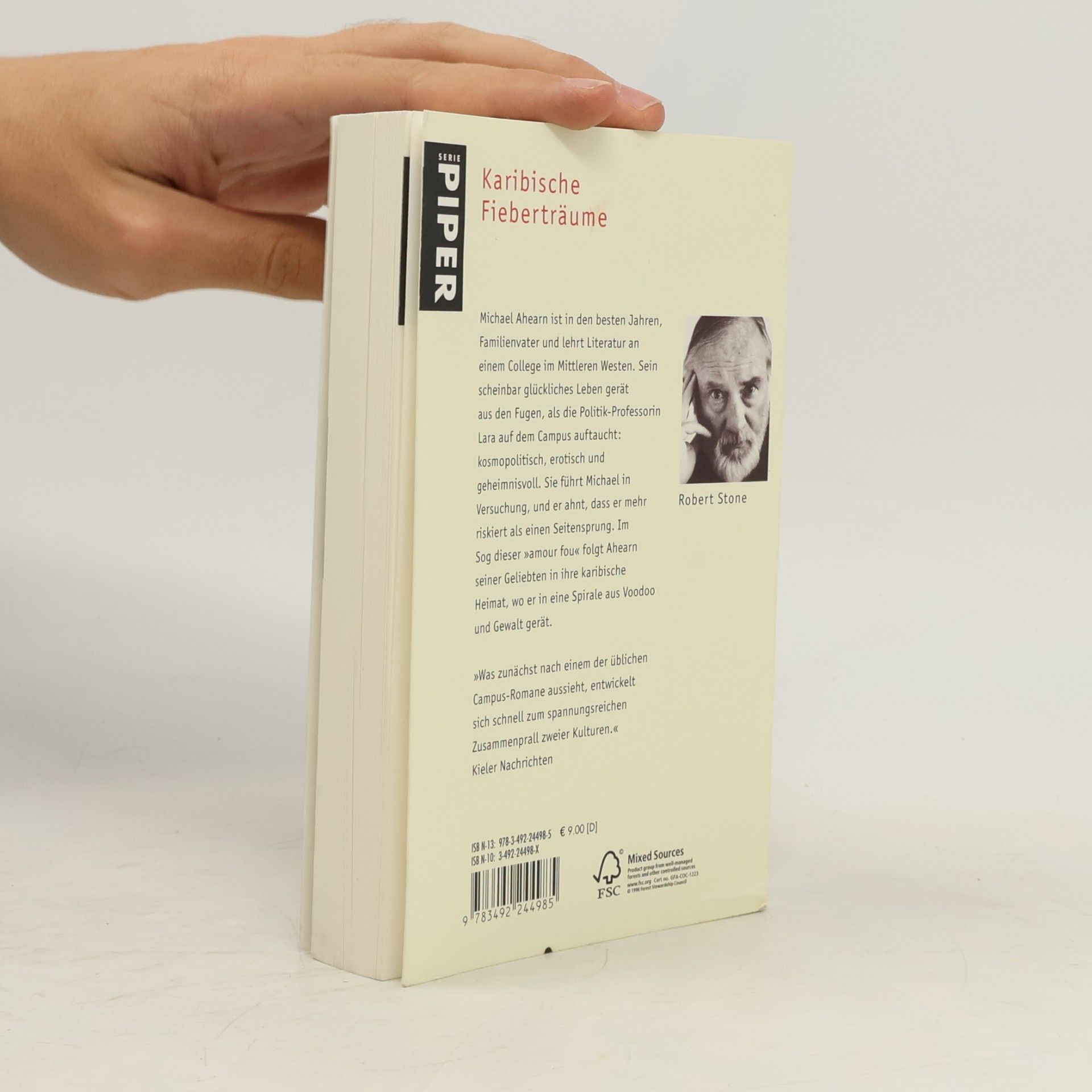 Robert Stone Die Professorin