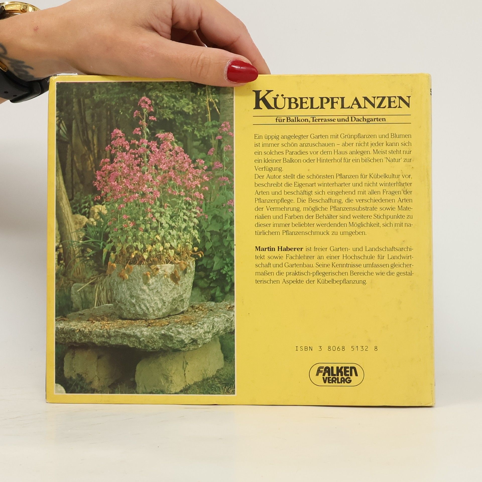 Martin Haberer Kübelpflanzen für Balkon, Terrasse und Dachgarten