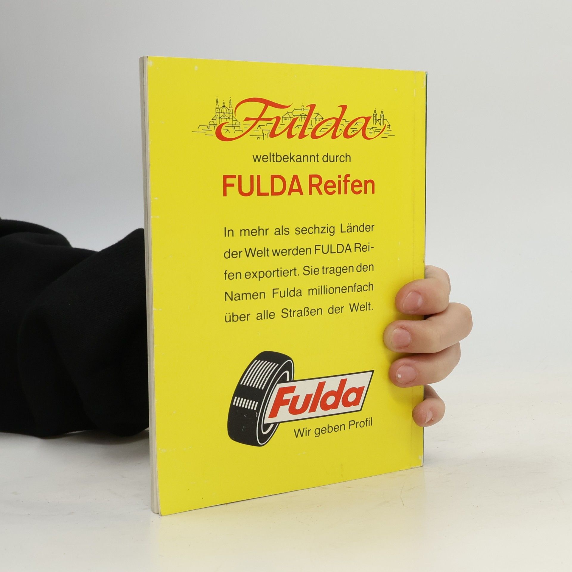 Anton Schmitt Führer durch Fulda