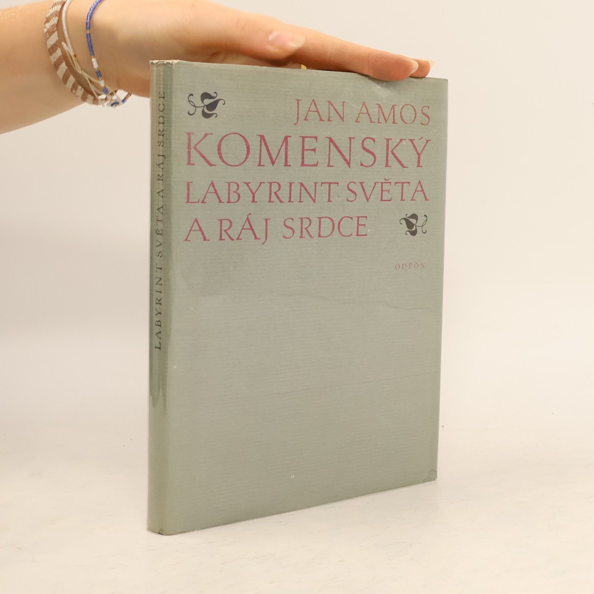 Jan Amos Komenský Labyrint světa a ráj srdce