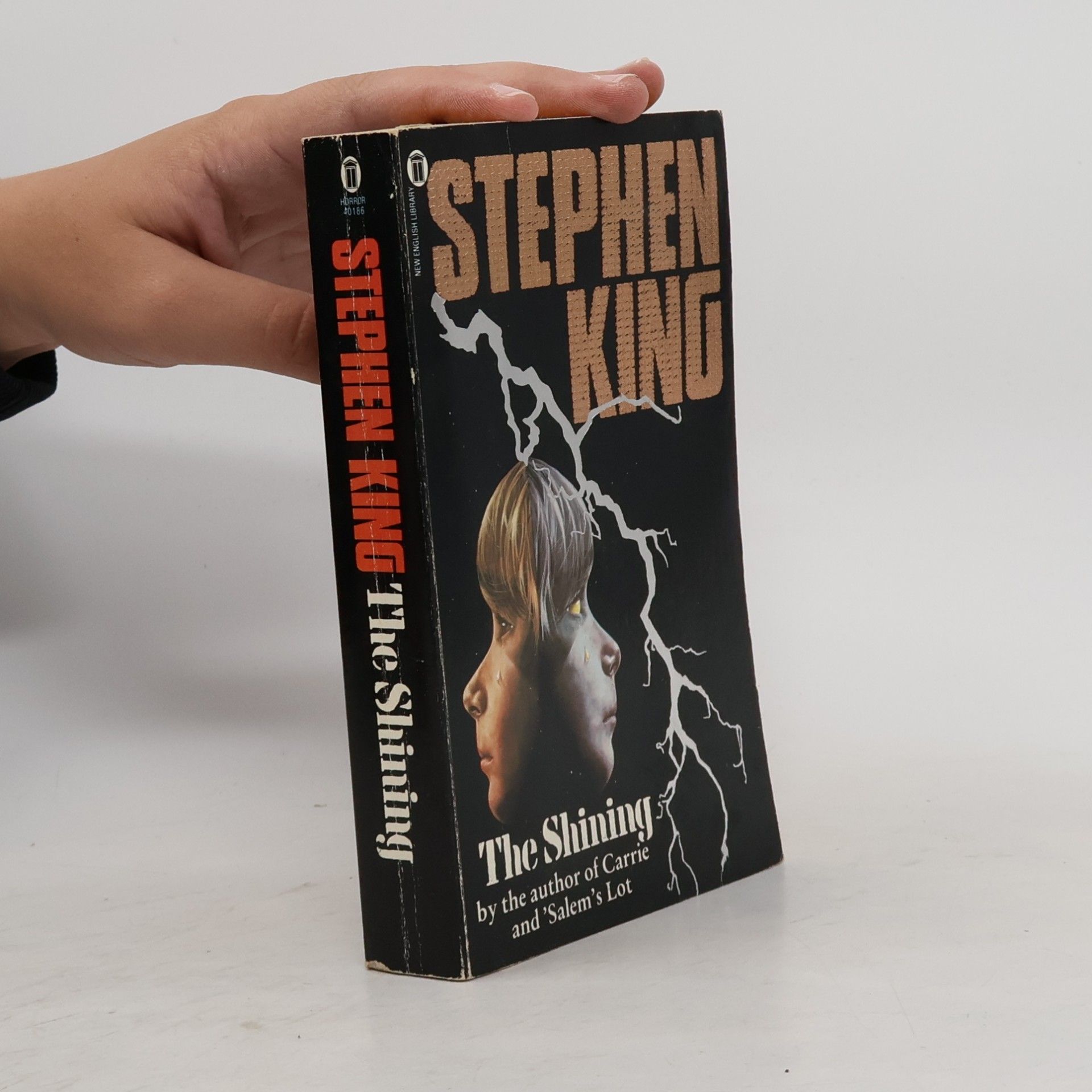 Stephen King The shining