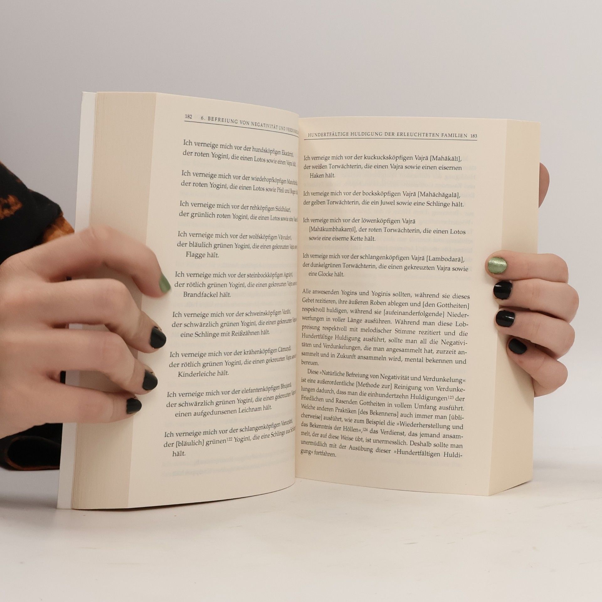Stephan Schuhmacher Das Tibetische Totenbuch