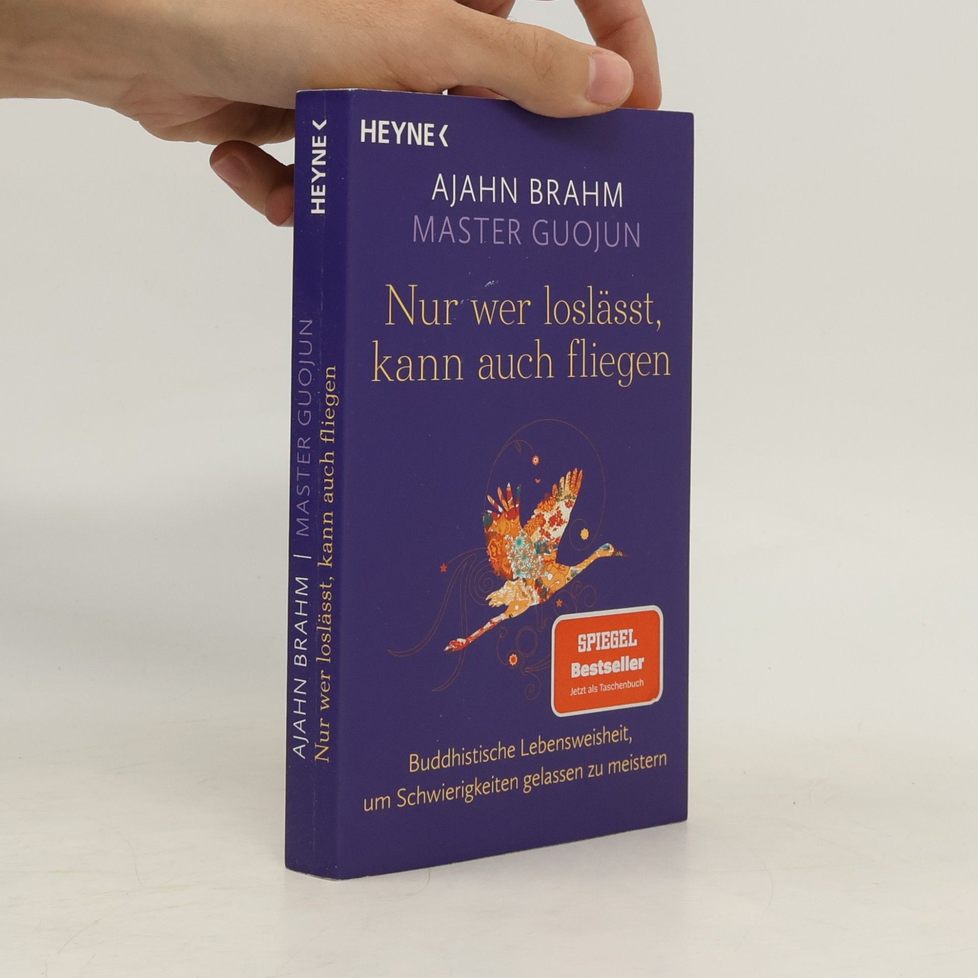 Master Guojun Nur wer loslässt, kann auch fliegen
