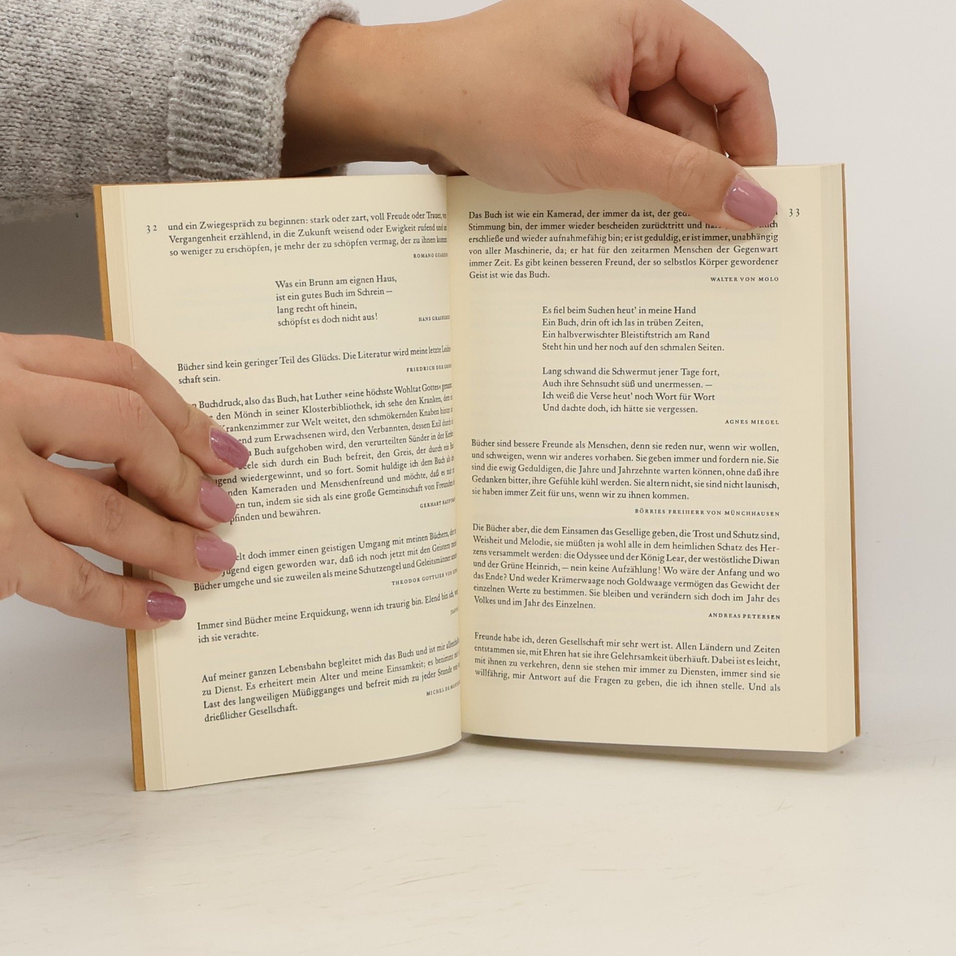 Horst Kliemann Stundenbuch für Letternfreunde