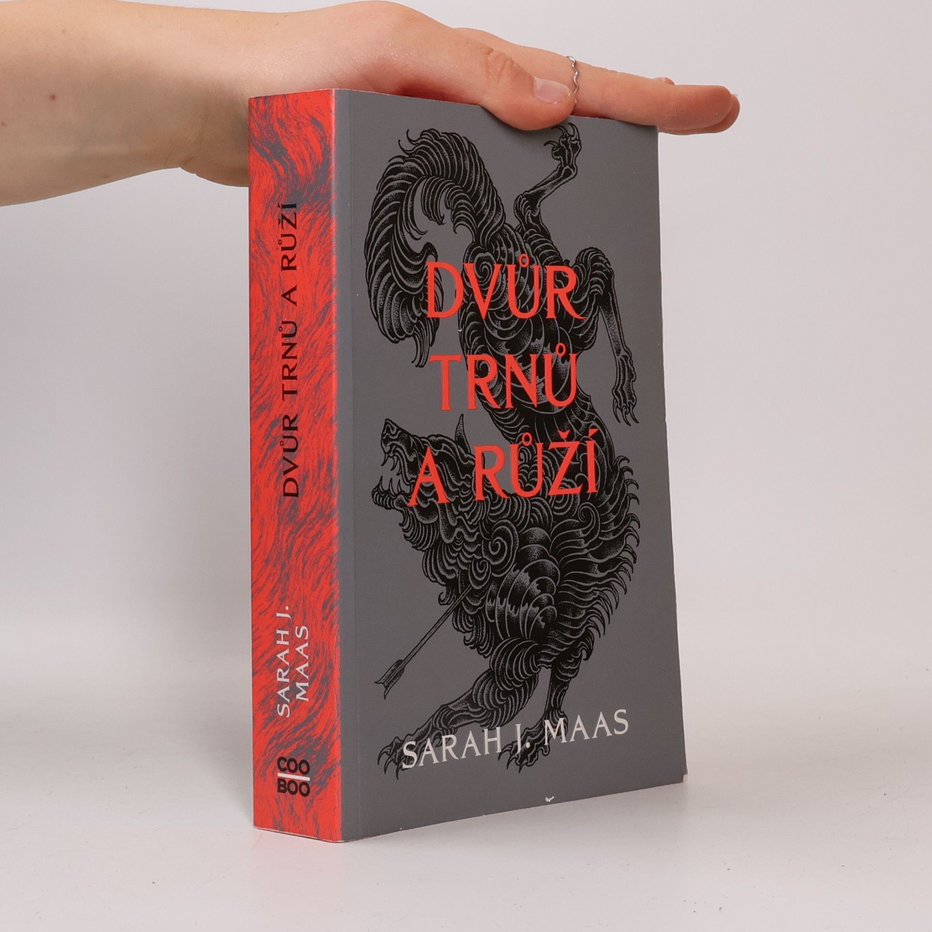 Sarah J. Maas Dvůr trnů a růží