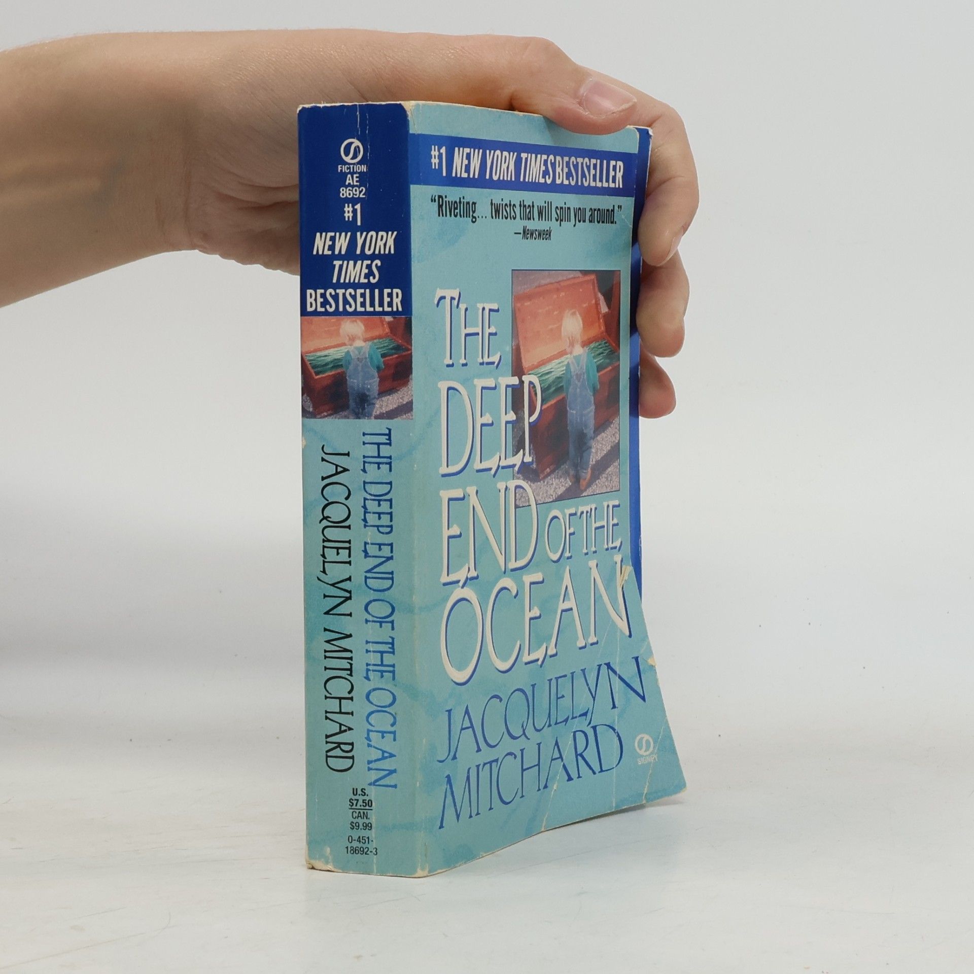 Jacquelyn Mitchard The Deep End of the Ocean