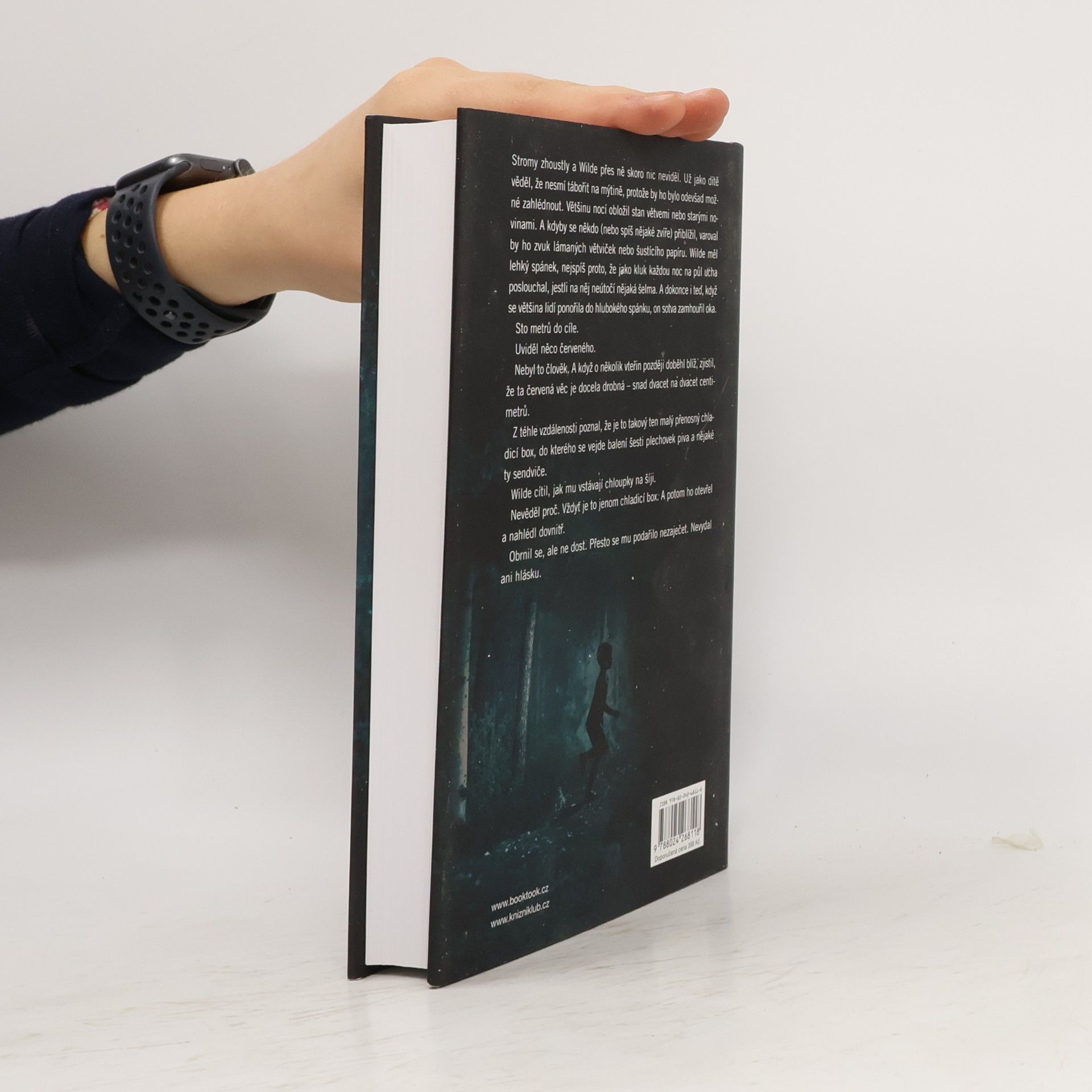 Harlan Coben Chlapec z lesů
