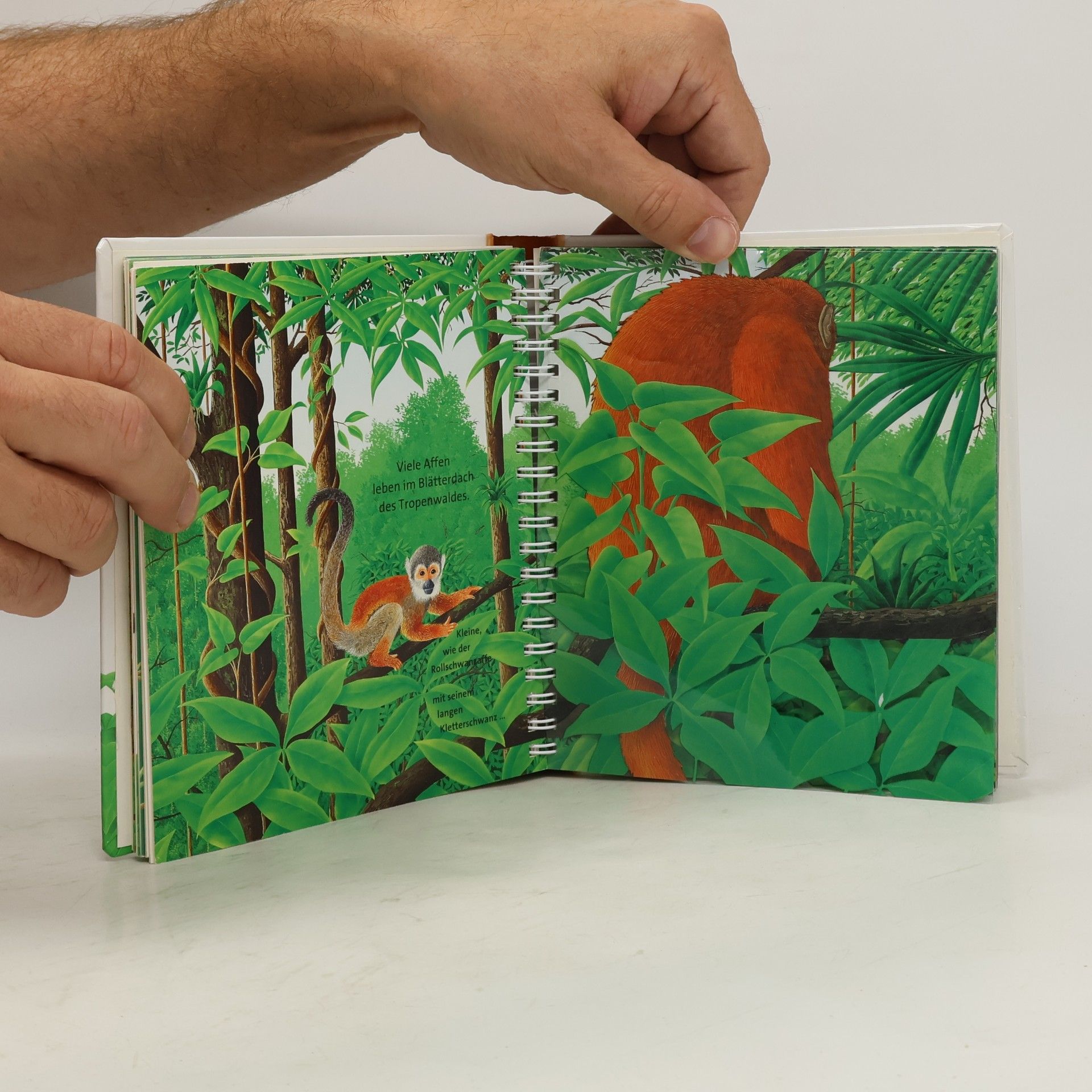René Mettler Meyers kleine Kinderbibliothek - 19: Der Dschungel
