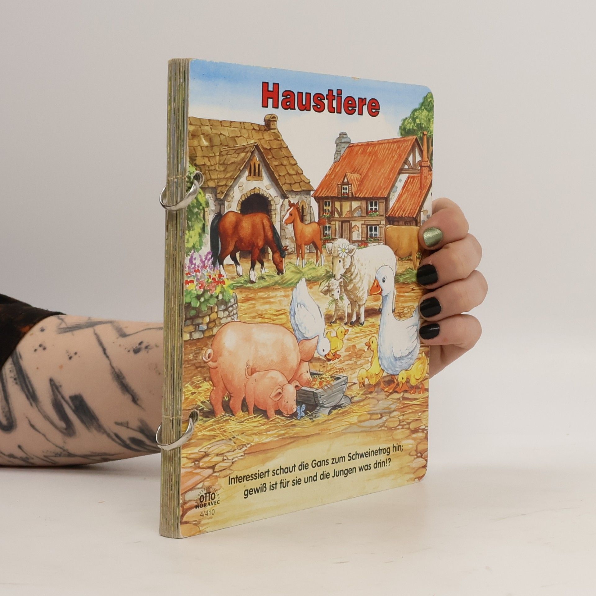Collectif d'auteurs Haustiere