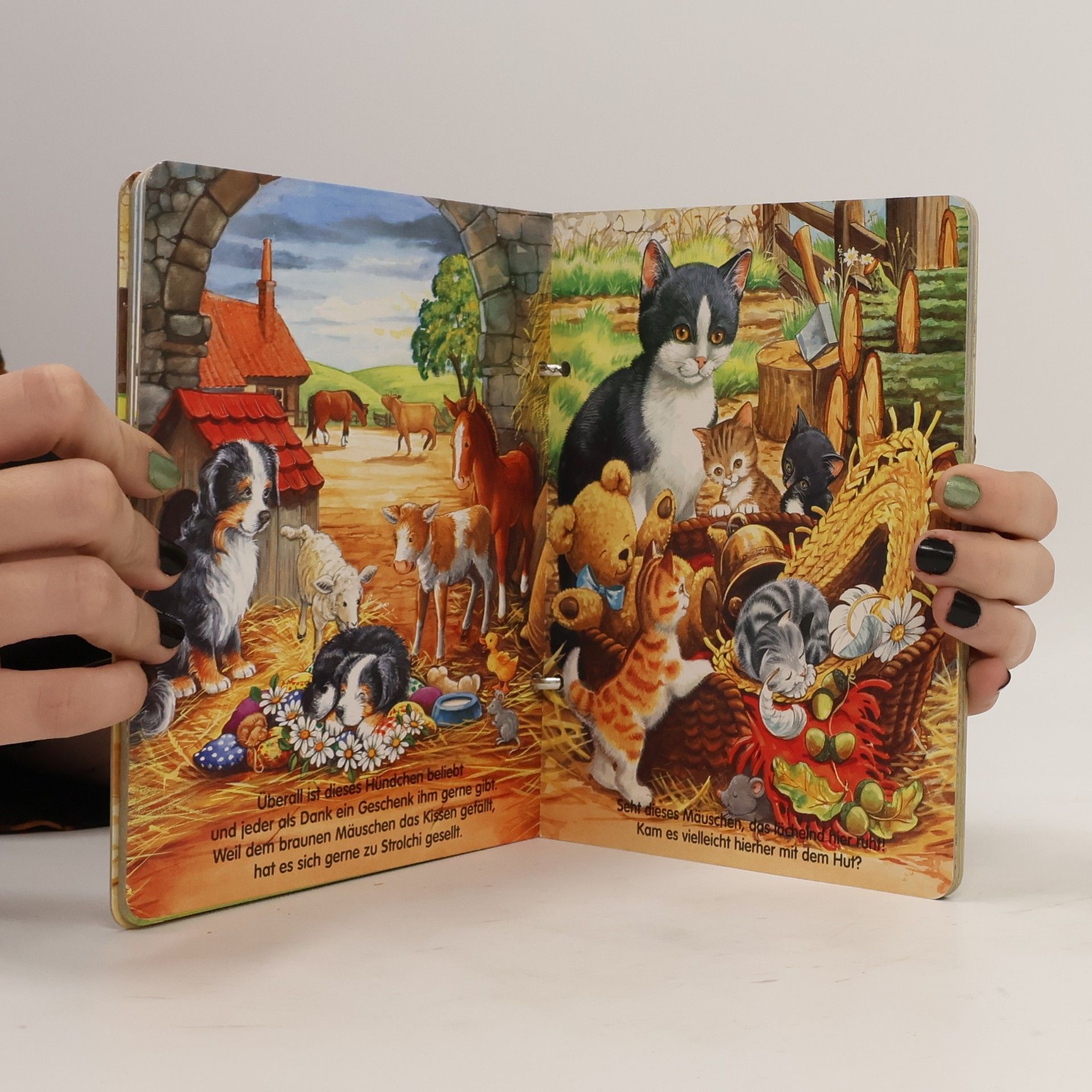 Collectif d'auteurs Haustiere