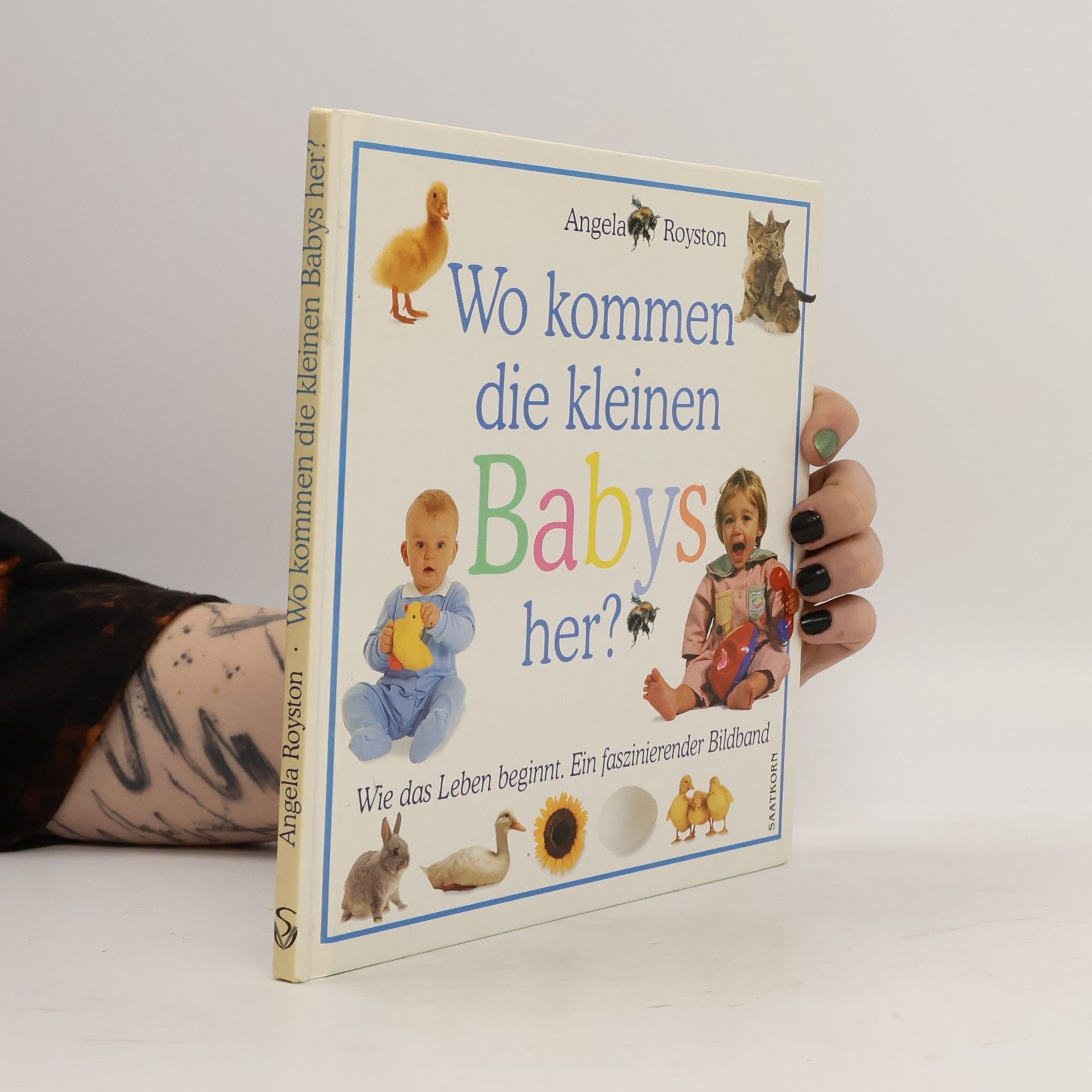 Angela Royston Wo kommen die kleinen Babys her?