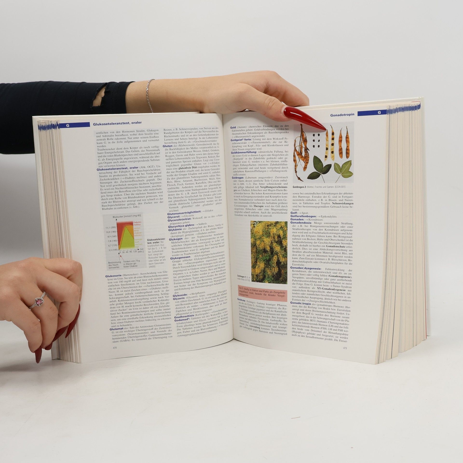 Stefan Dierkes Der Gesundheits-Brockhaus