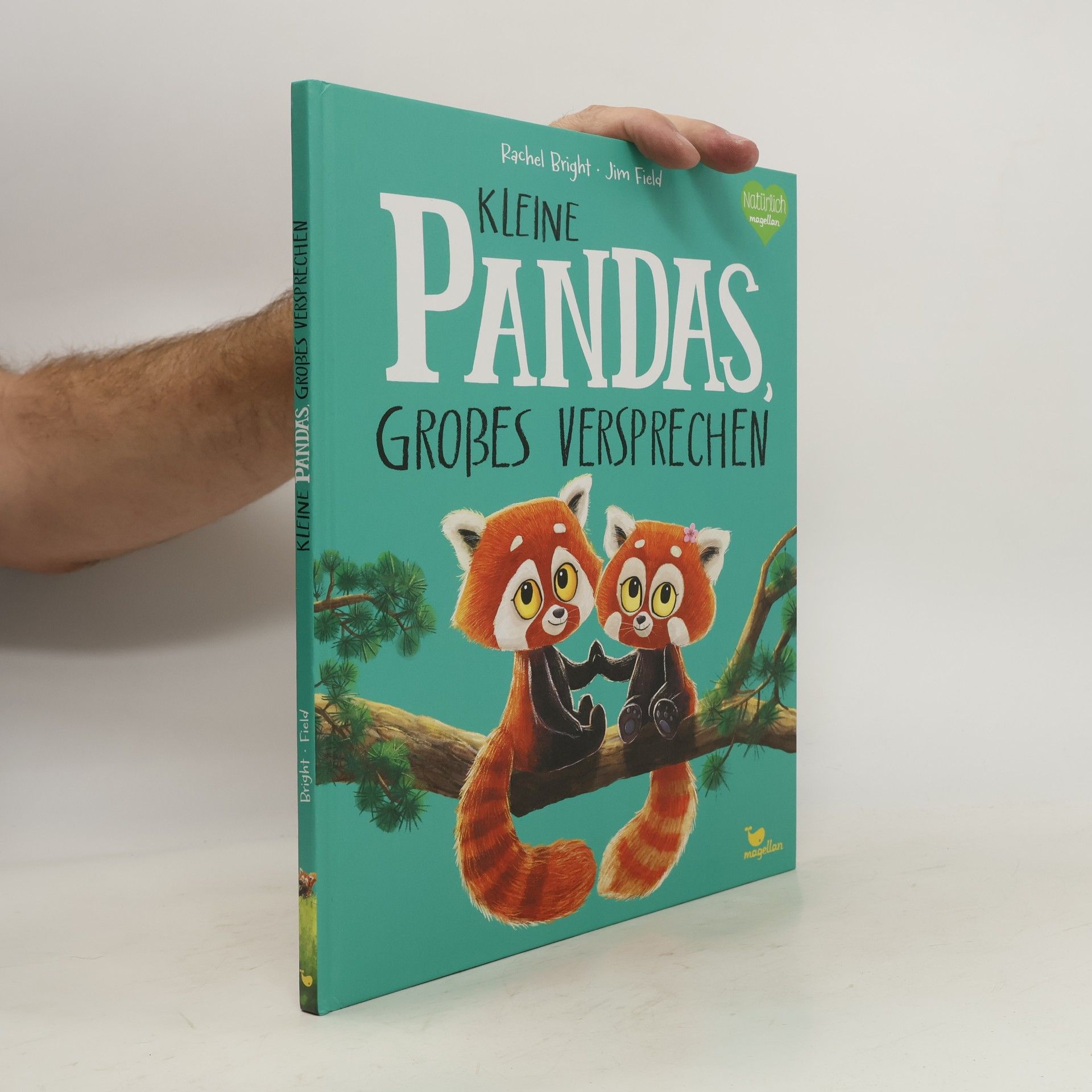 Rachel Bright Kleine Pandas, großes Versprechen