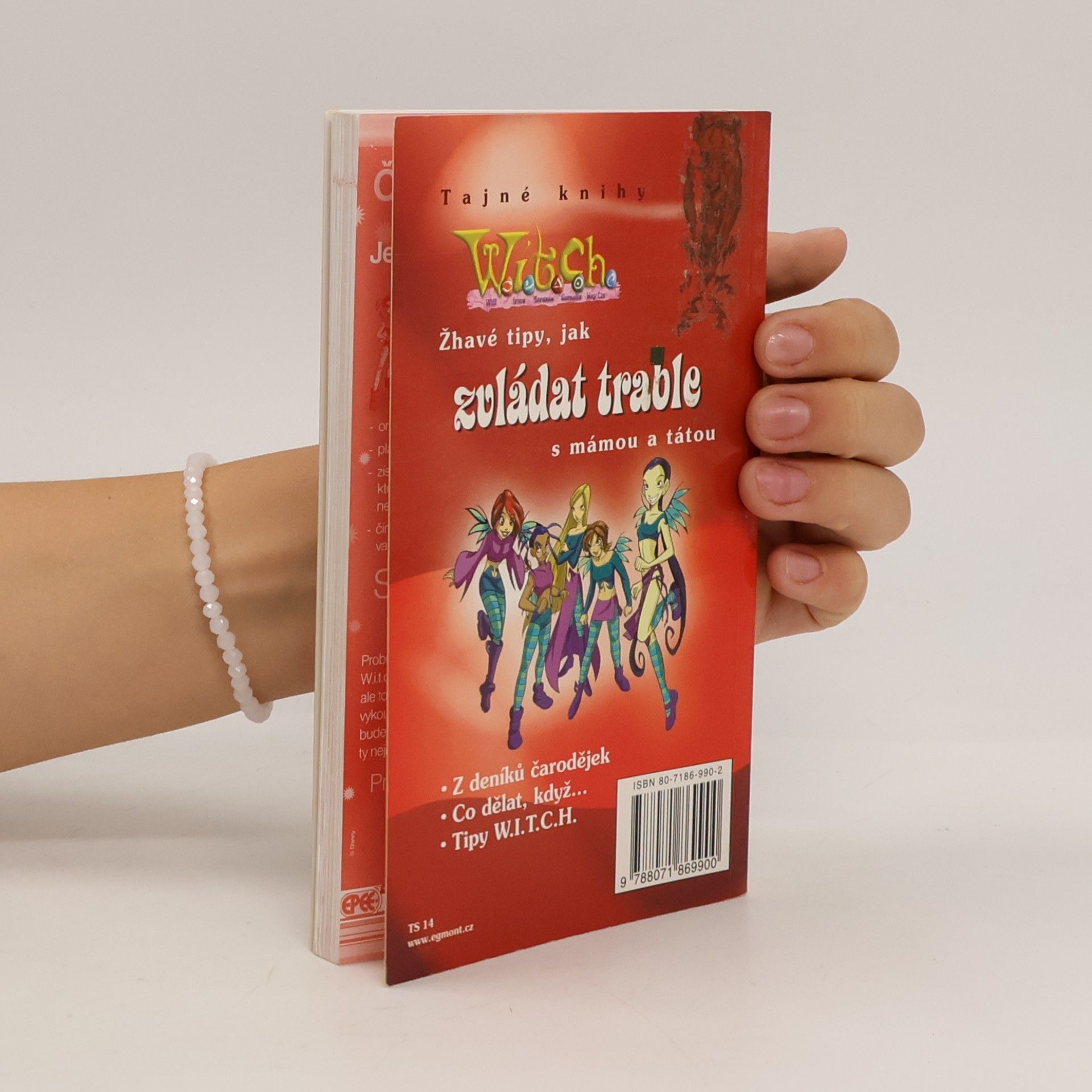 Marie Šimková Tajné knihy W.I.T.C.H. 100 čarodějných způsobů, jak vycházet s rodiči