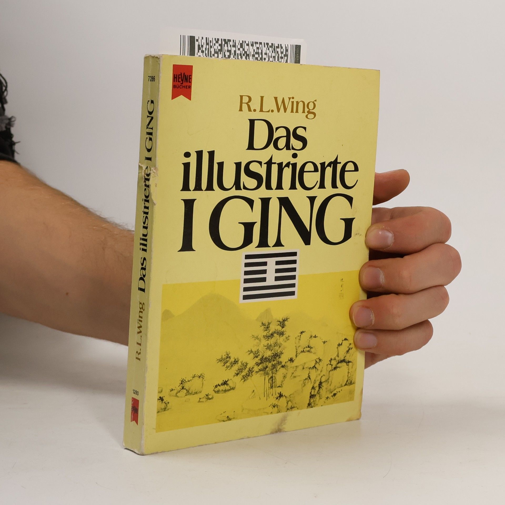 Oldřich Král Das illustrierte I Ging