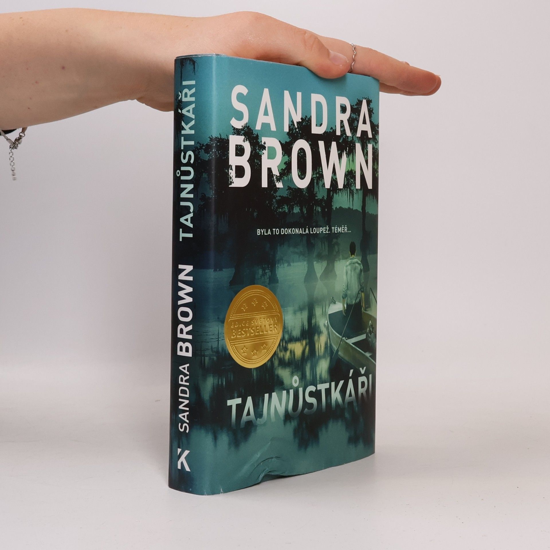 Sandra Brown Tajnůstkáři