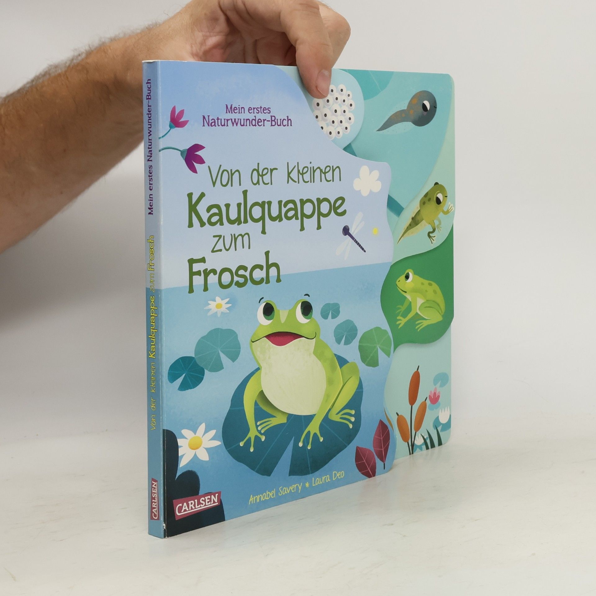 Von der kleinen Kaulquappe zum Frosch