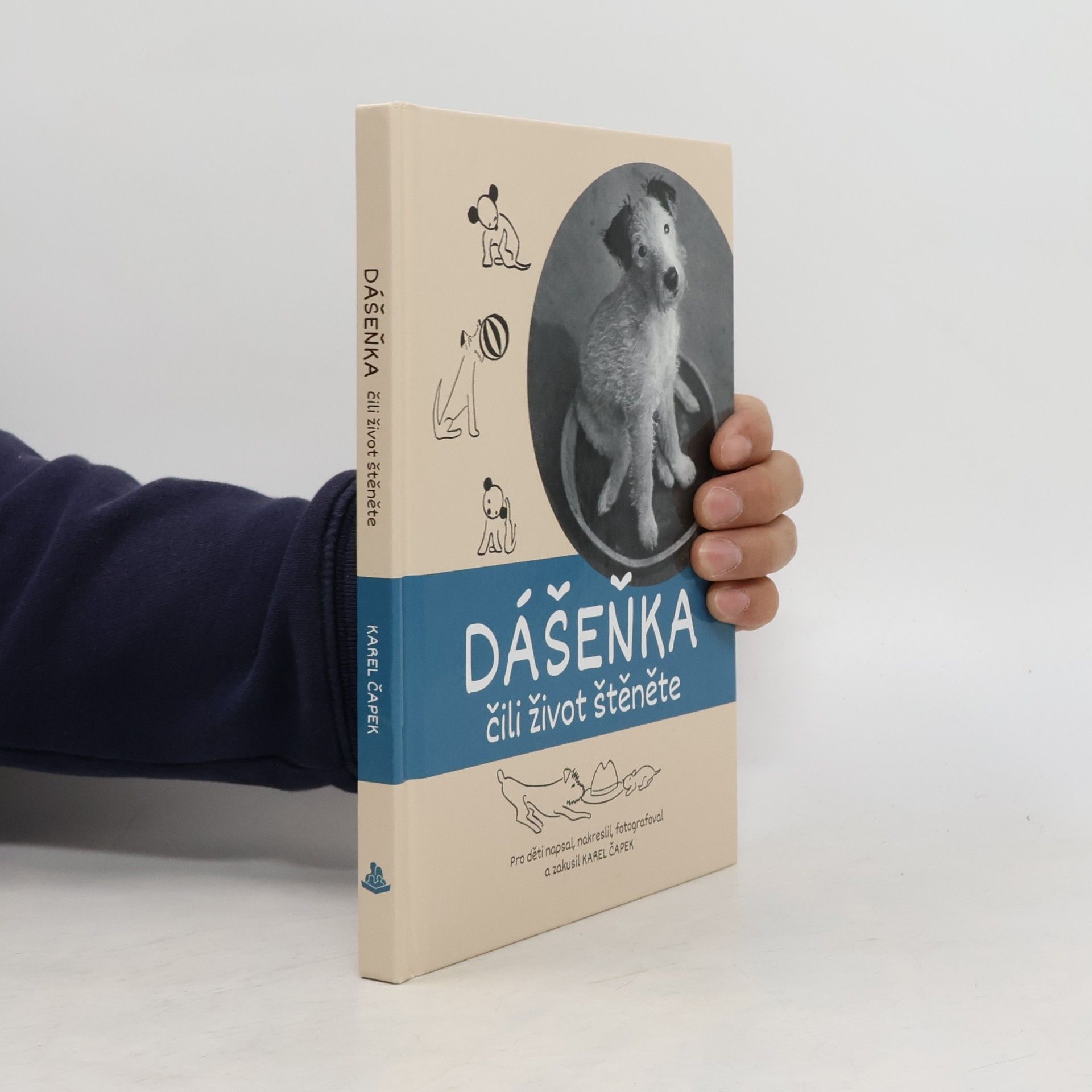 Various authors Dášeňka