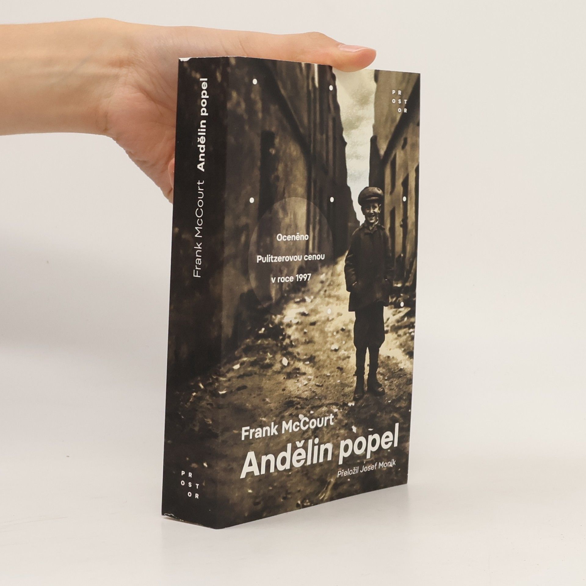 Frank McCourt Andělin popel