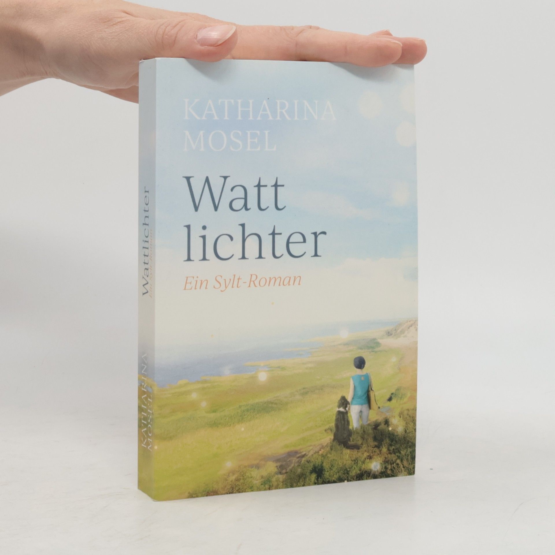Katharina Mosel Wattlichter. Ein Sylt-Roman