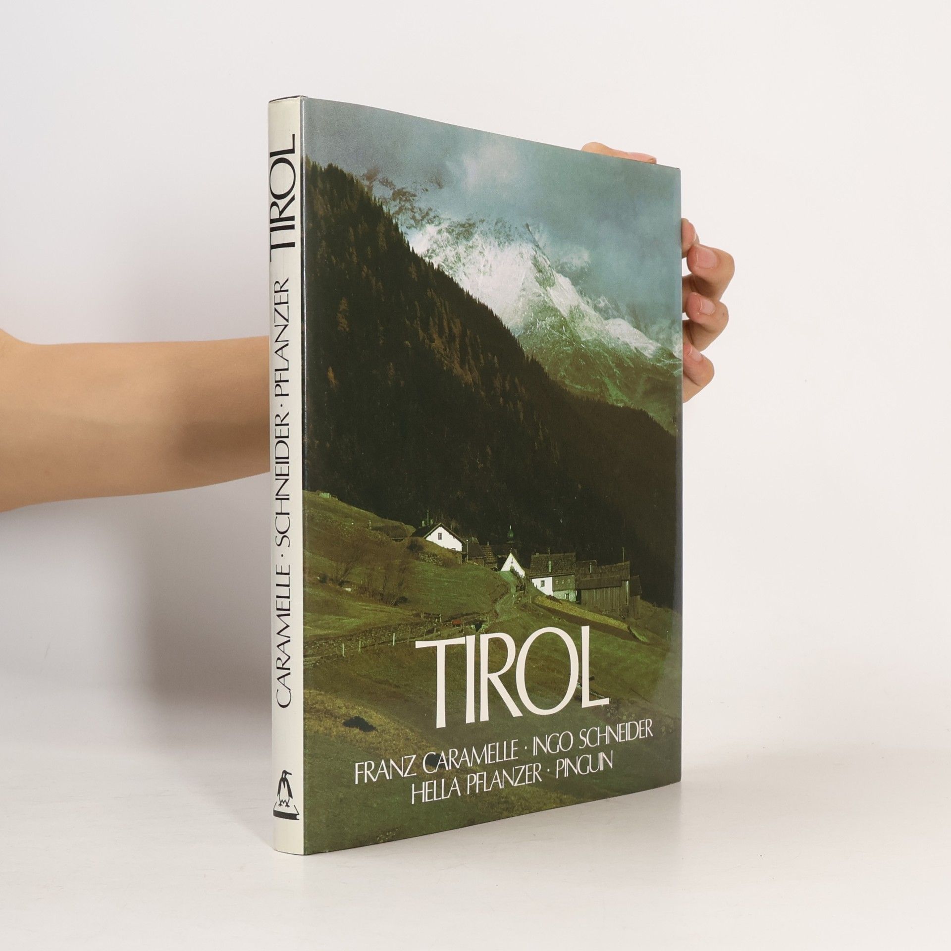Ingo Schneider Tirol