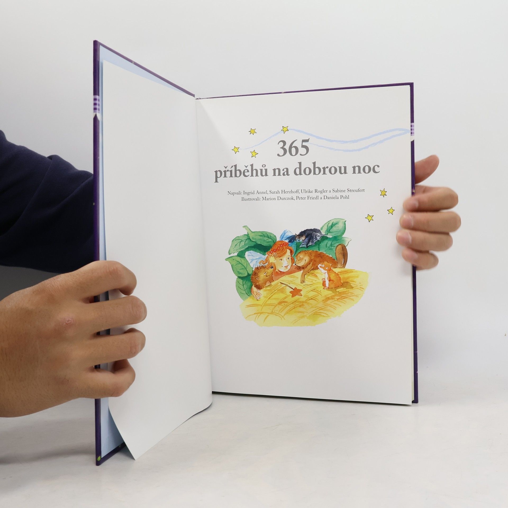 Various authors 365 příběhů na dobrou noc