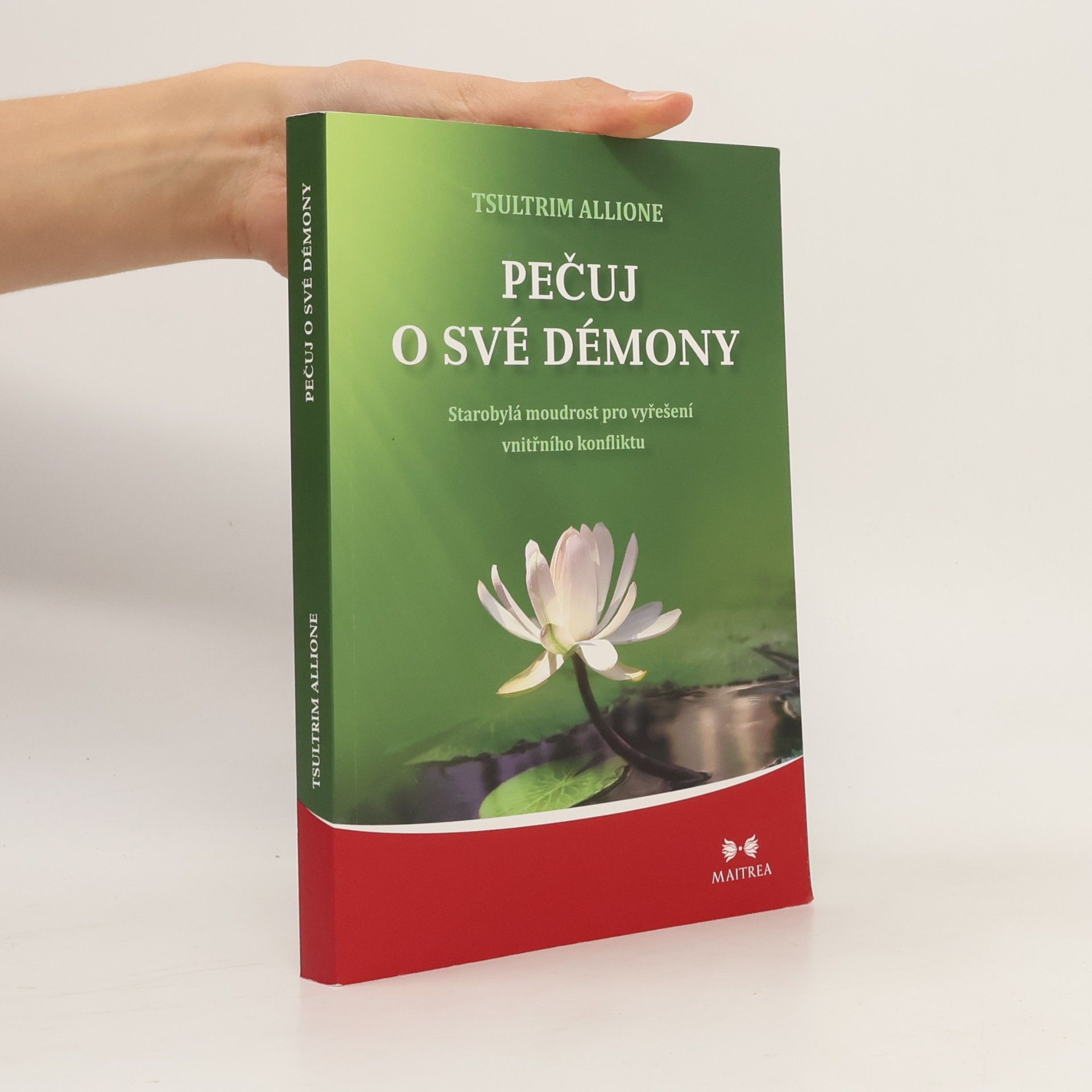 Tsültrim Allione Pečuj o své démony. Starobylá moudrost pro vyřešení vnitřního konfliktu