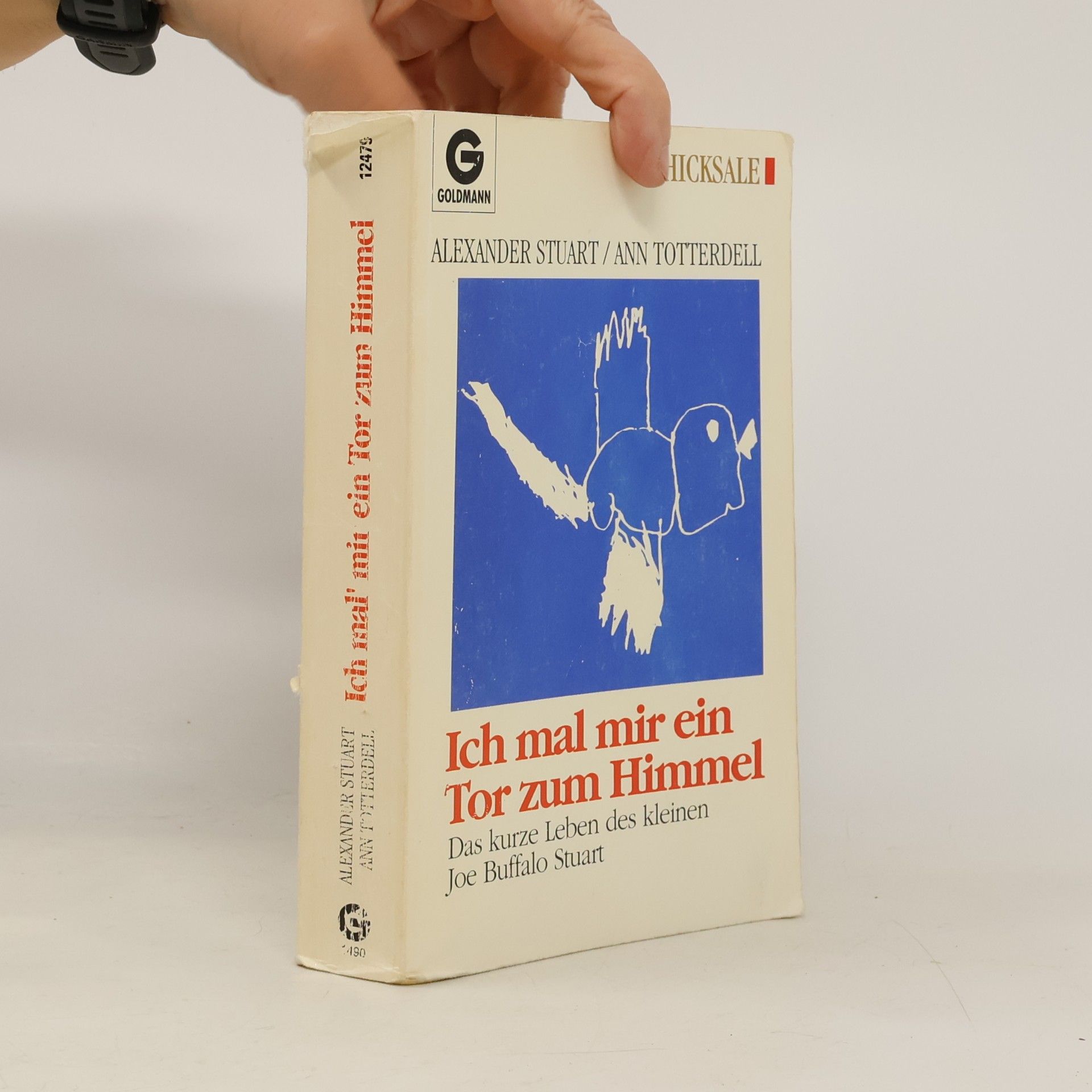 Alexander Stuart Ich mal mir ein Tor zum Himmel