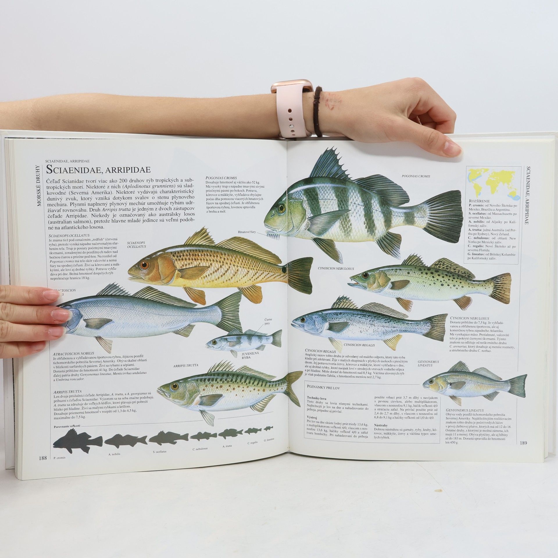 Various authors Veľká obrazová encyklopédia rybárstva