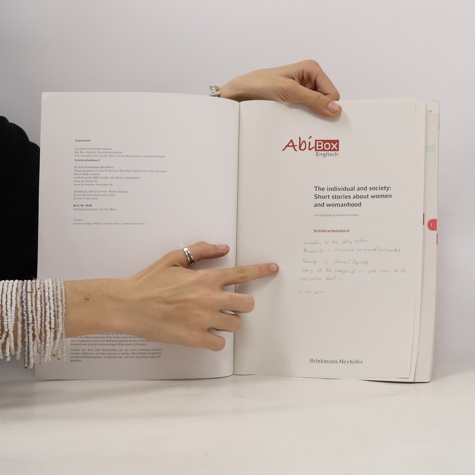 Elisabeth Schönefeld-Holland AbiBox Englisch: The individual and society