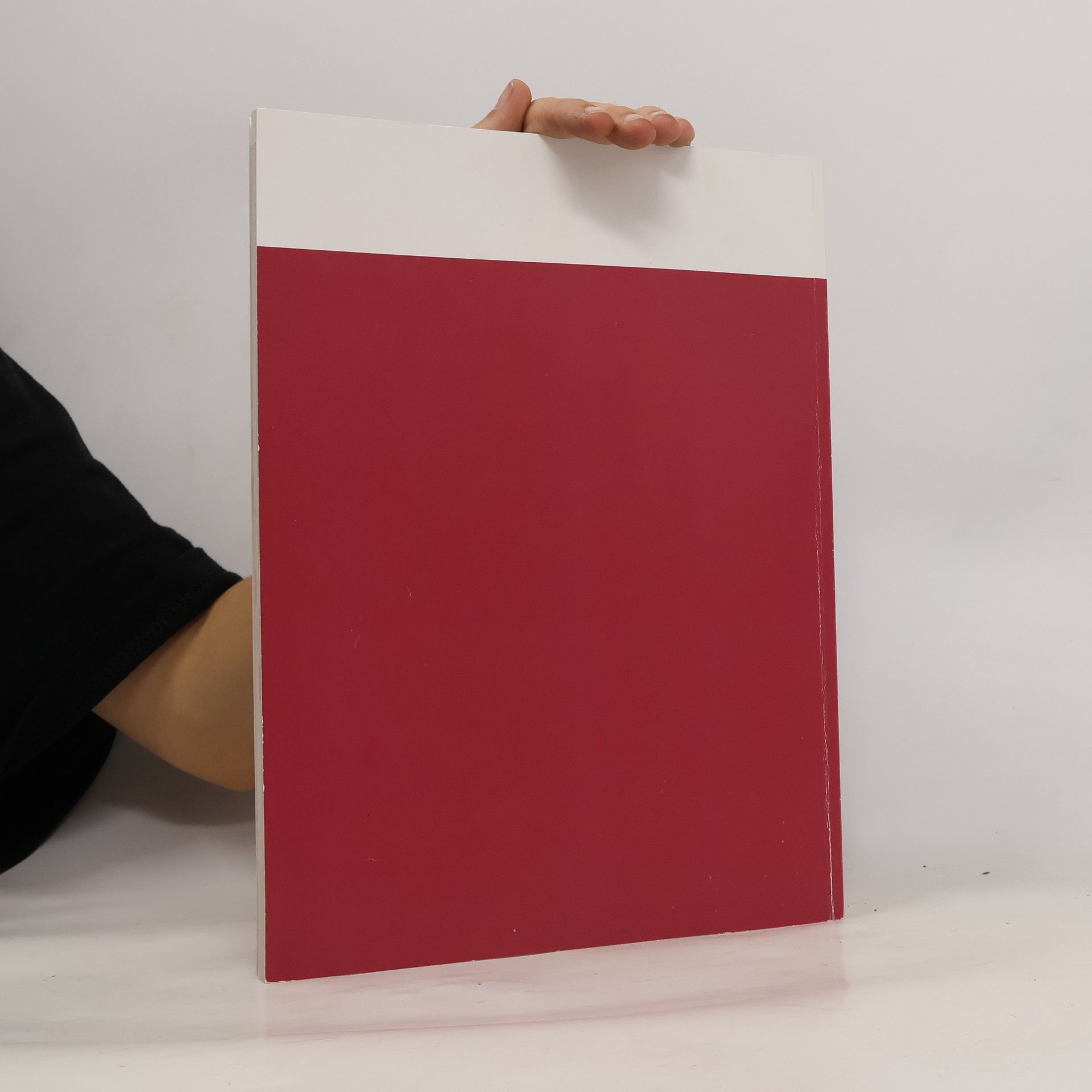 Elisabeth Schönefeld-Holland AbiBox Englisch: The individual and society