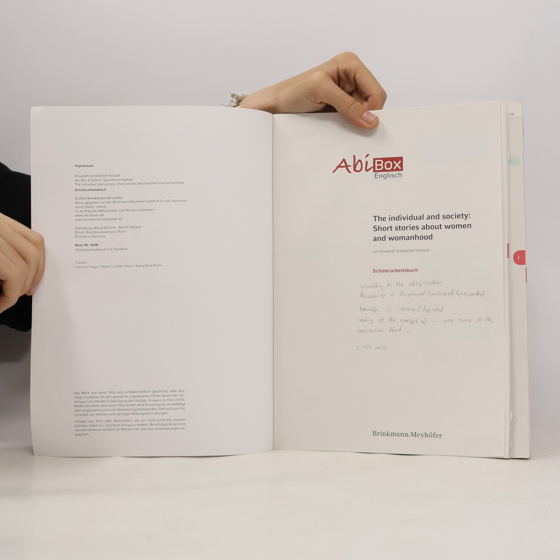 Elisabeth Schönefeld-Holland AbiBox Englisch: The individual and society